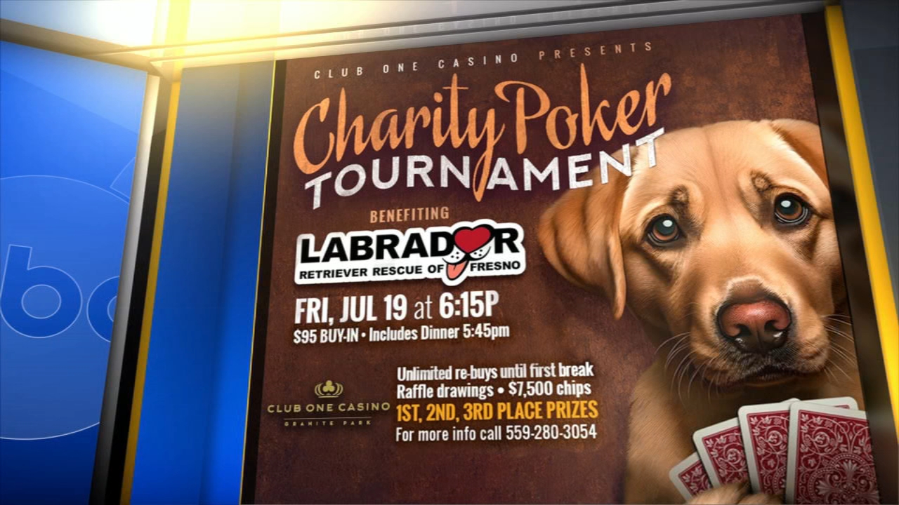 How you can help 'Labrador Retriever Rescue of Fresno' through poker