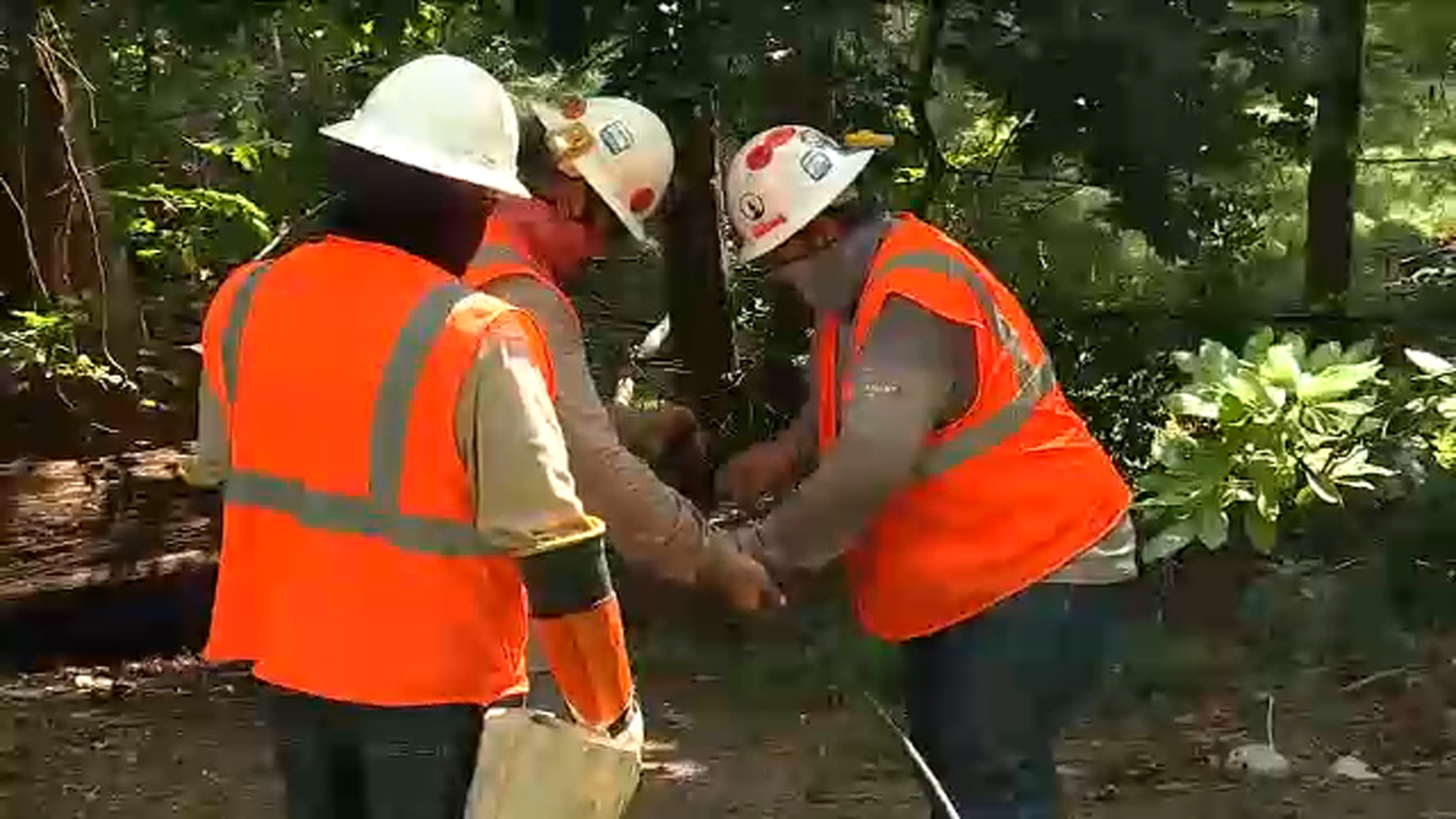 Thousands on Long Island still hoping for power
restoration