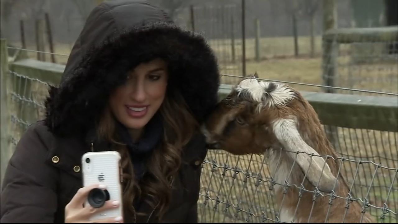 Top 6: Winter activities in Philadelphia area (Part 2)