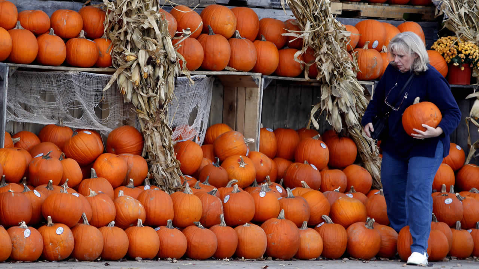Canned pumpkin could be scarce by Thanksgiving ABC13 Houston