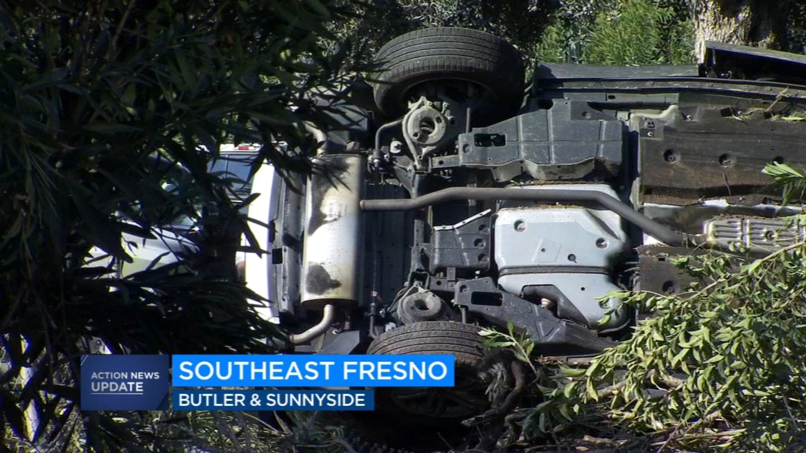 60-year-old man dies after crashing into tree in southeast Fresno ...
