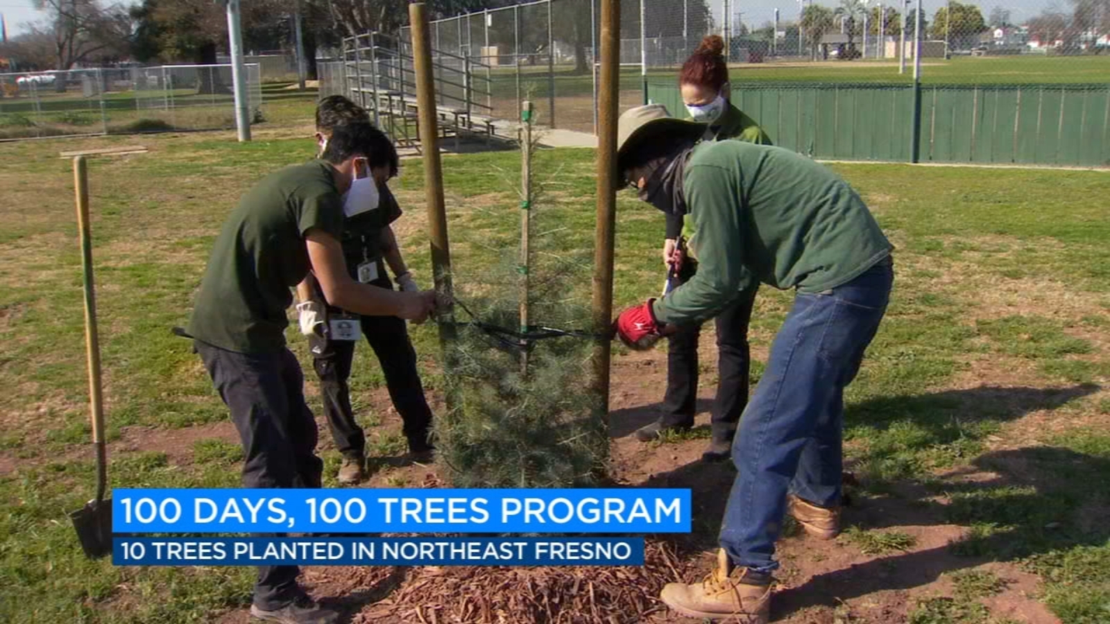 Fresno city council member wants to plant 100 trees in the next 100