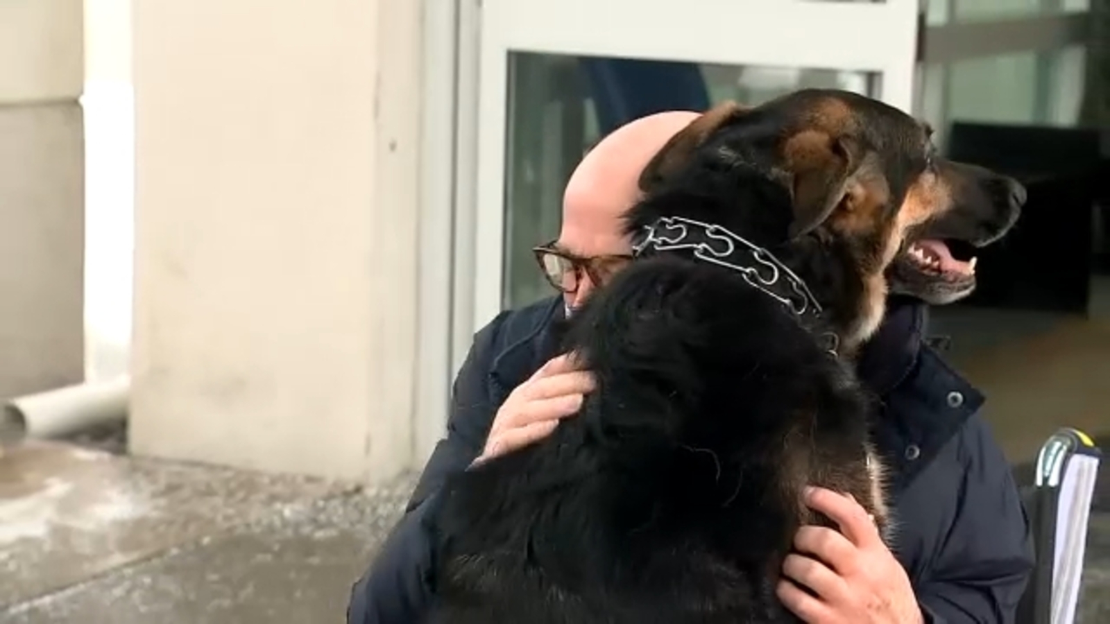A New Jersey man saved by a rescue dog leaves rehab and reunites with the hero's porch - Florida News Times