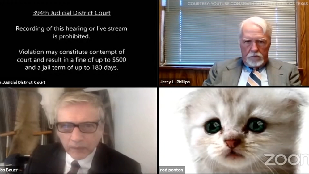 Attorney accidentally gets on Zoom call with cat filter on