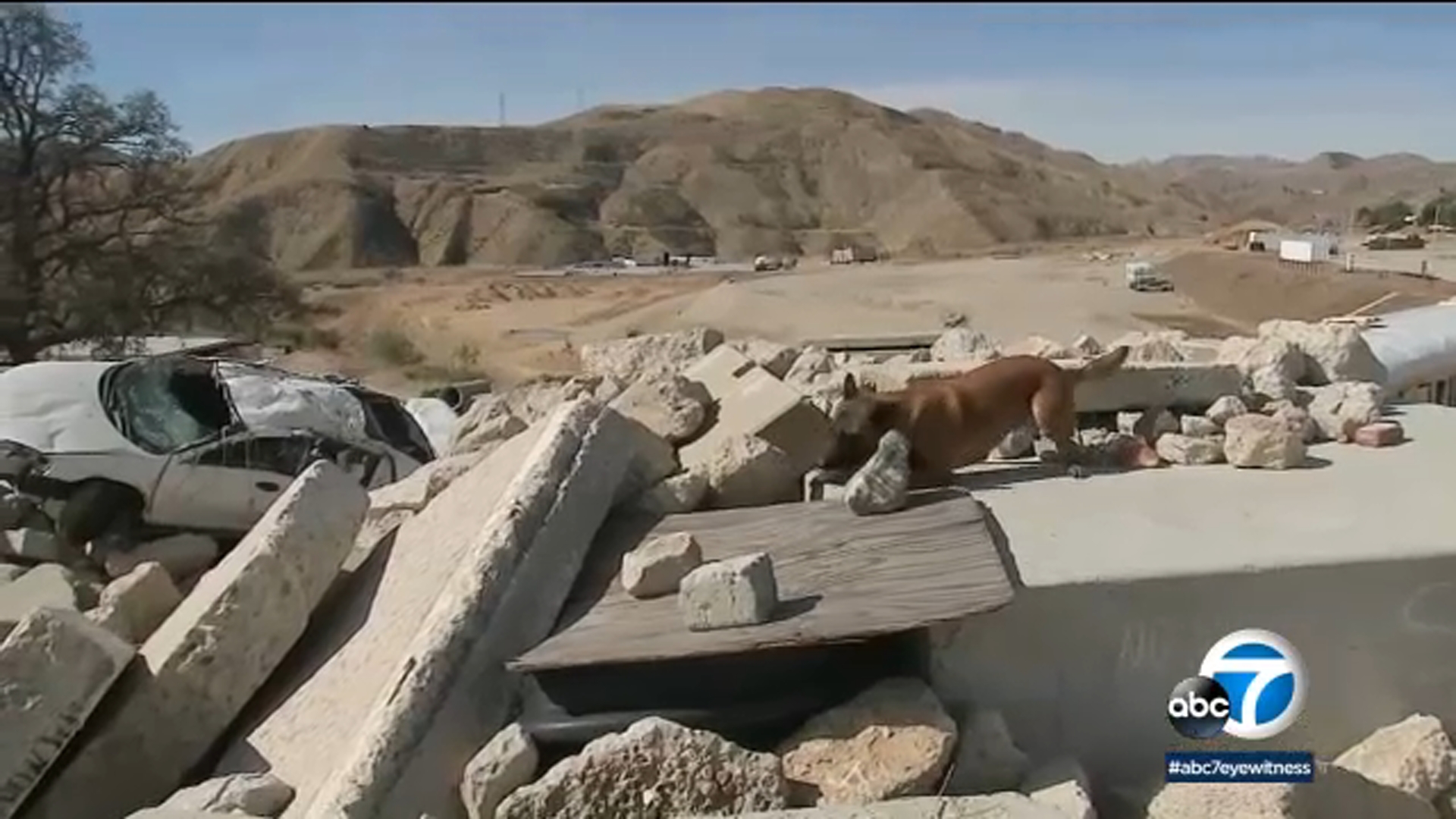 LA County search and rescue team on alert for 'the big one'