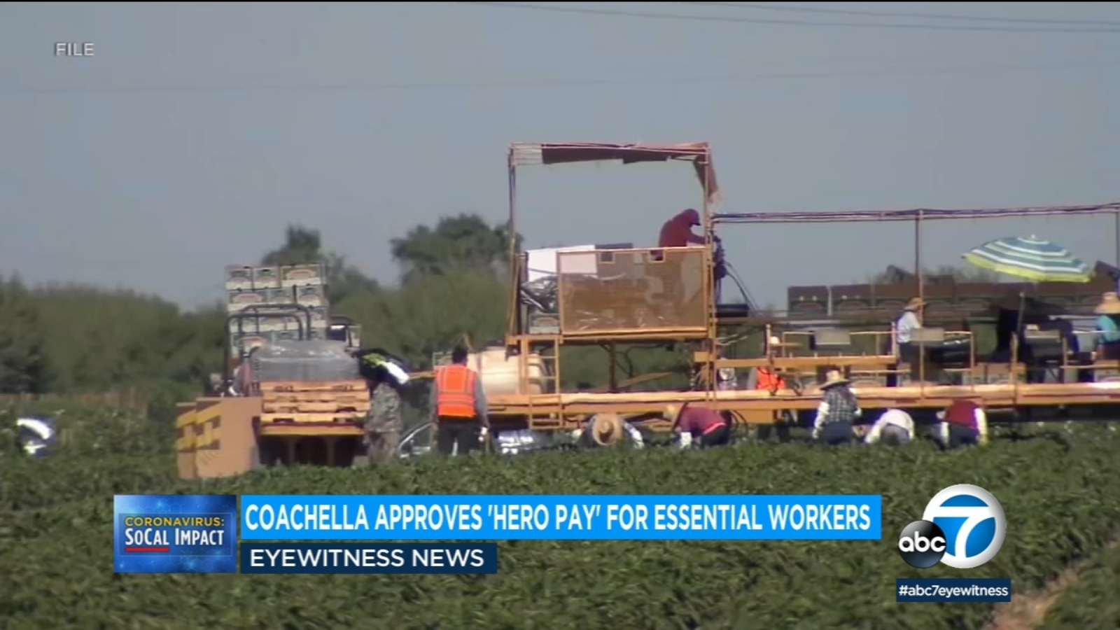 Coachella City Council approves ordinance to offer hero pay for farmworkers - Vimarsana News