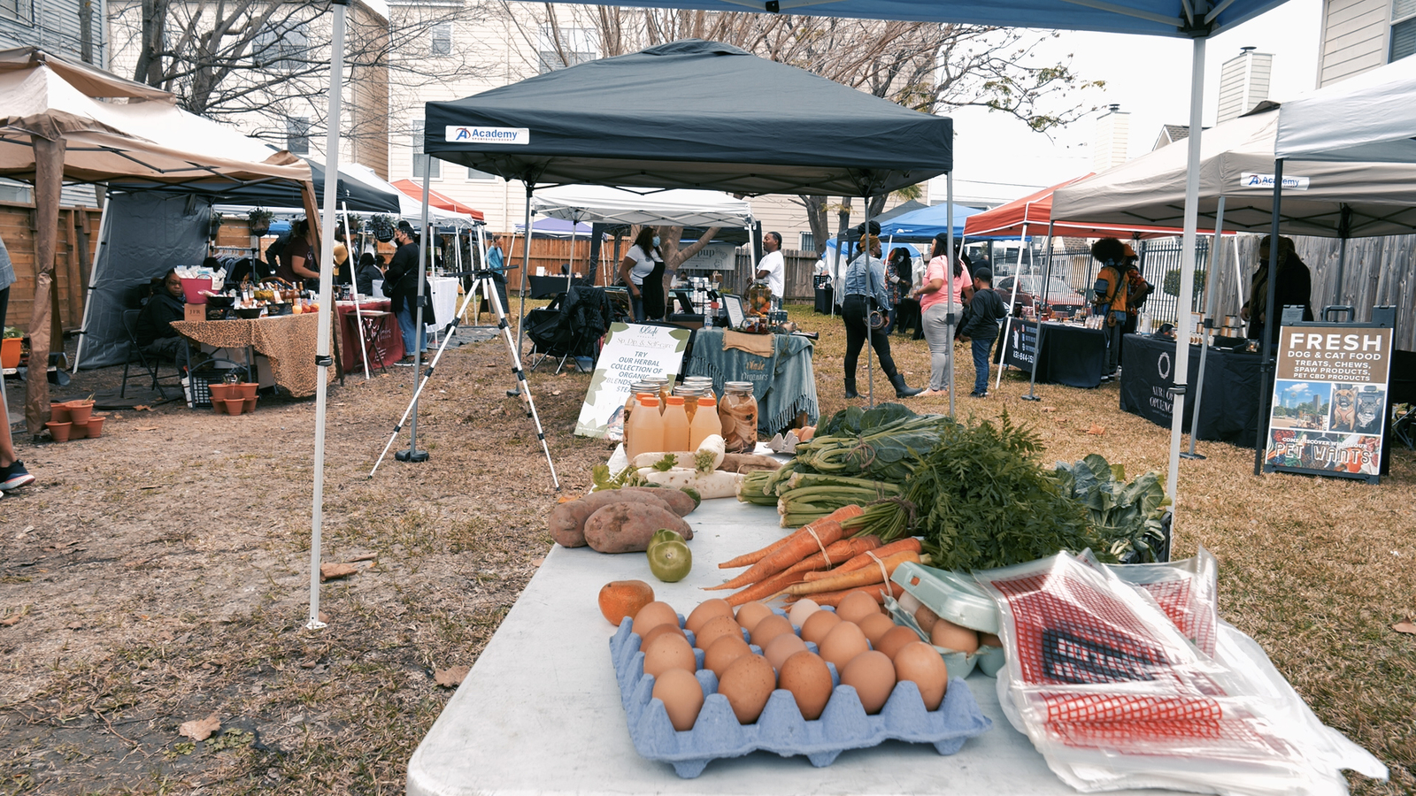 Freedmen's Town Farmers Market was created to save the neighborhood it calls home - Vimarsana News