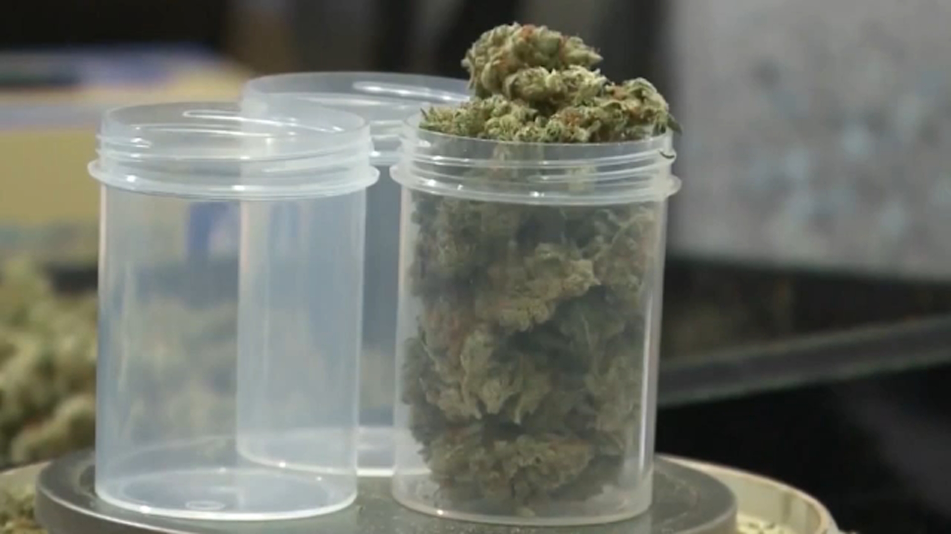 Milwaukee officials propose $1 weed fines