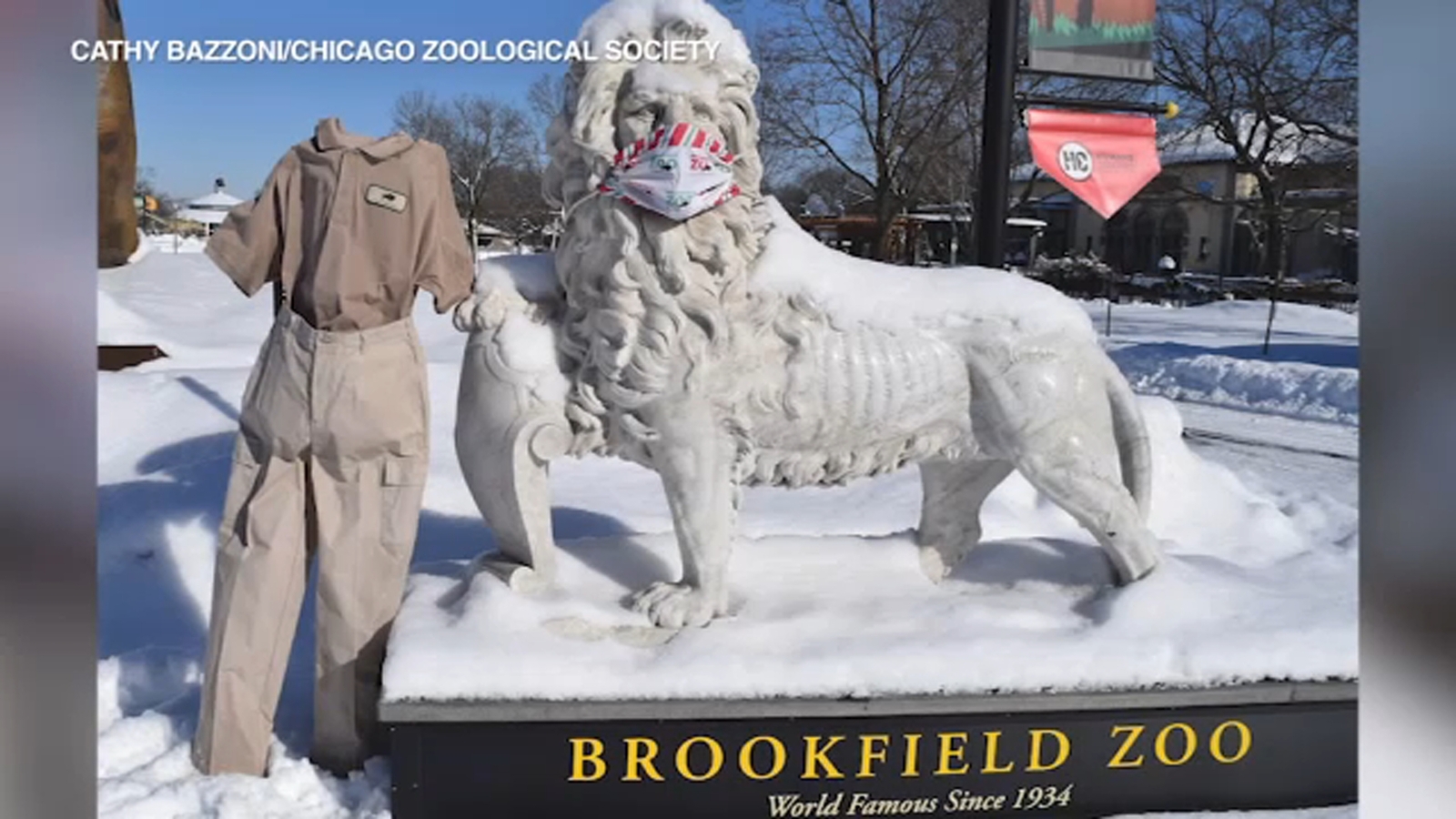 Chicago's Brookfield Zoo takes part in 'frozen pants' challenge after West Ridge man has fun claiming dibs on parking spot - Vimarsana News