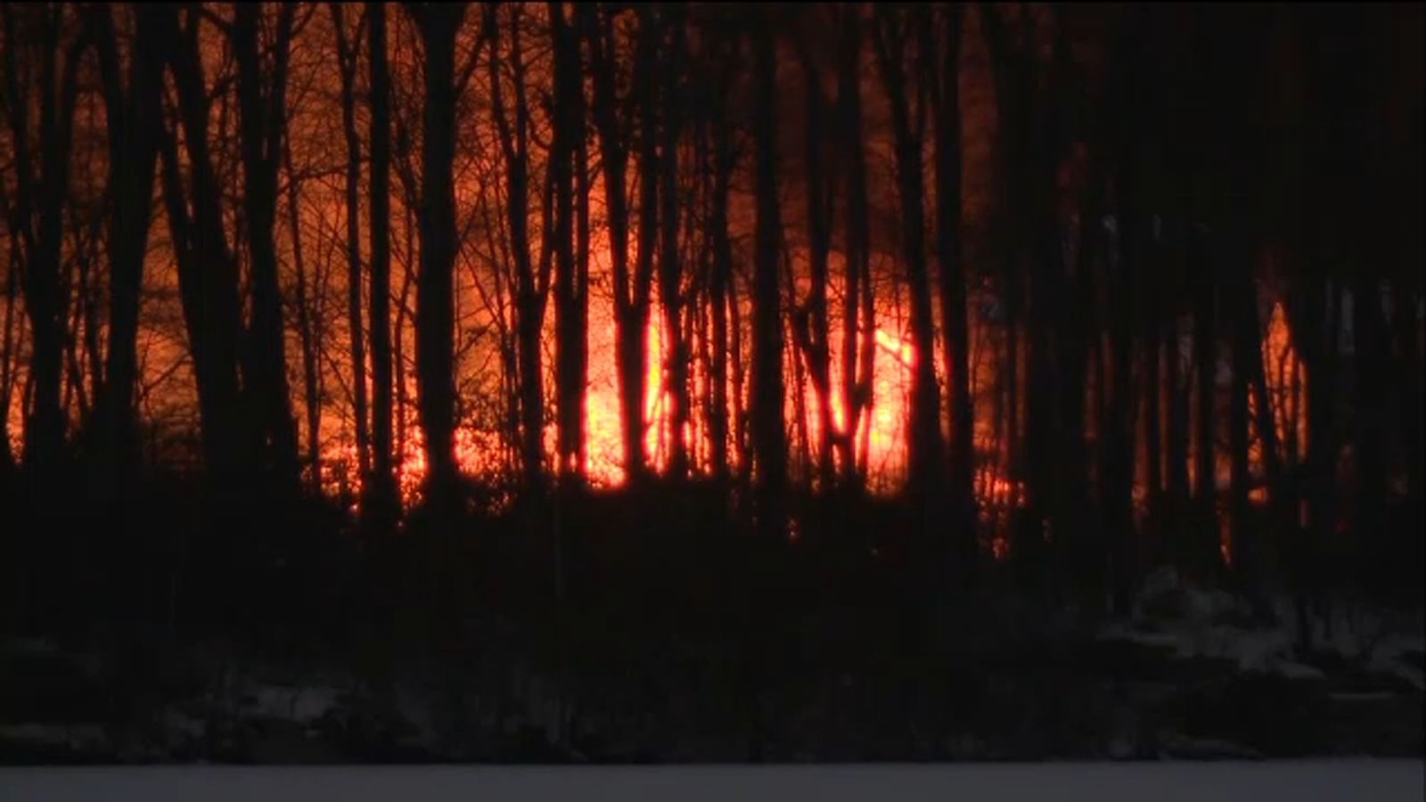 Paul Newman camp fire: Hole in the Wall Gang Camp in Connecticut partially destroyed - Vimarsana News