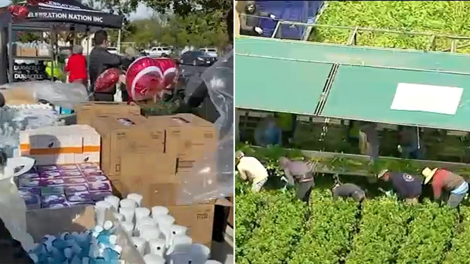Help for farmworkers during pandemic: Local organizations collect, distribute donated essential items, PPE to farmworkers in Oxnard - Vimarsana News