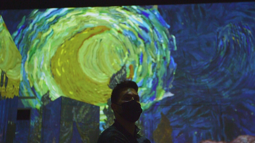'Immersive Van Gogh' exhibit mesmerizes Chicago