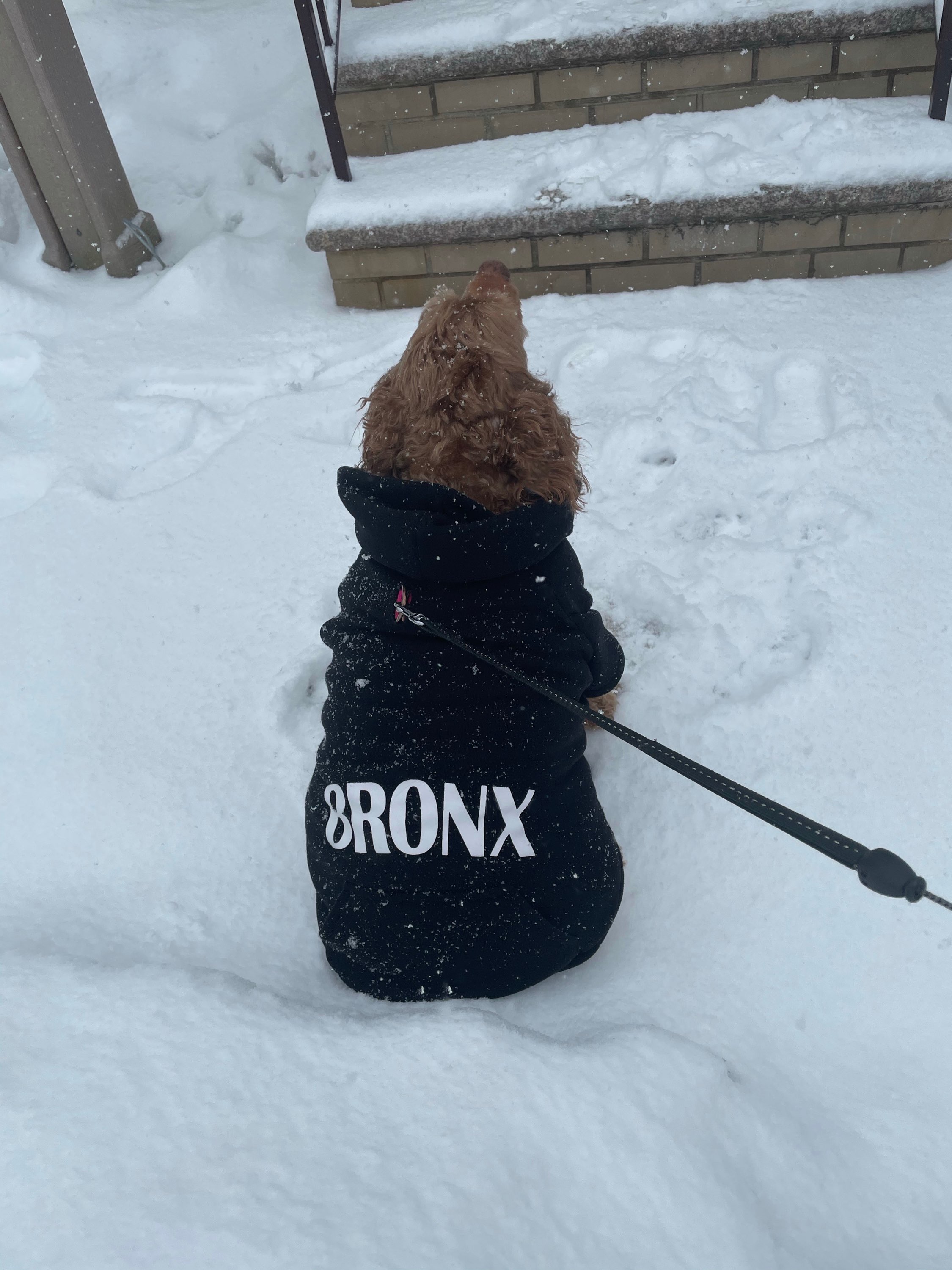 Eyewitness News viewers photos from the Feb. 18, 2021 snow storm