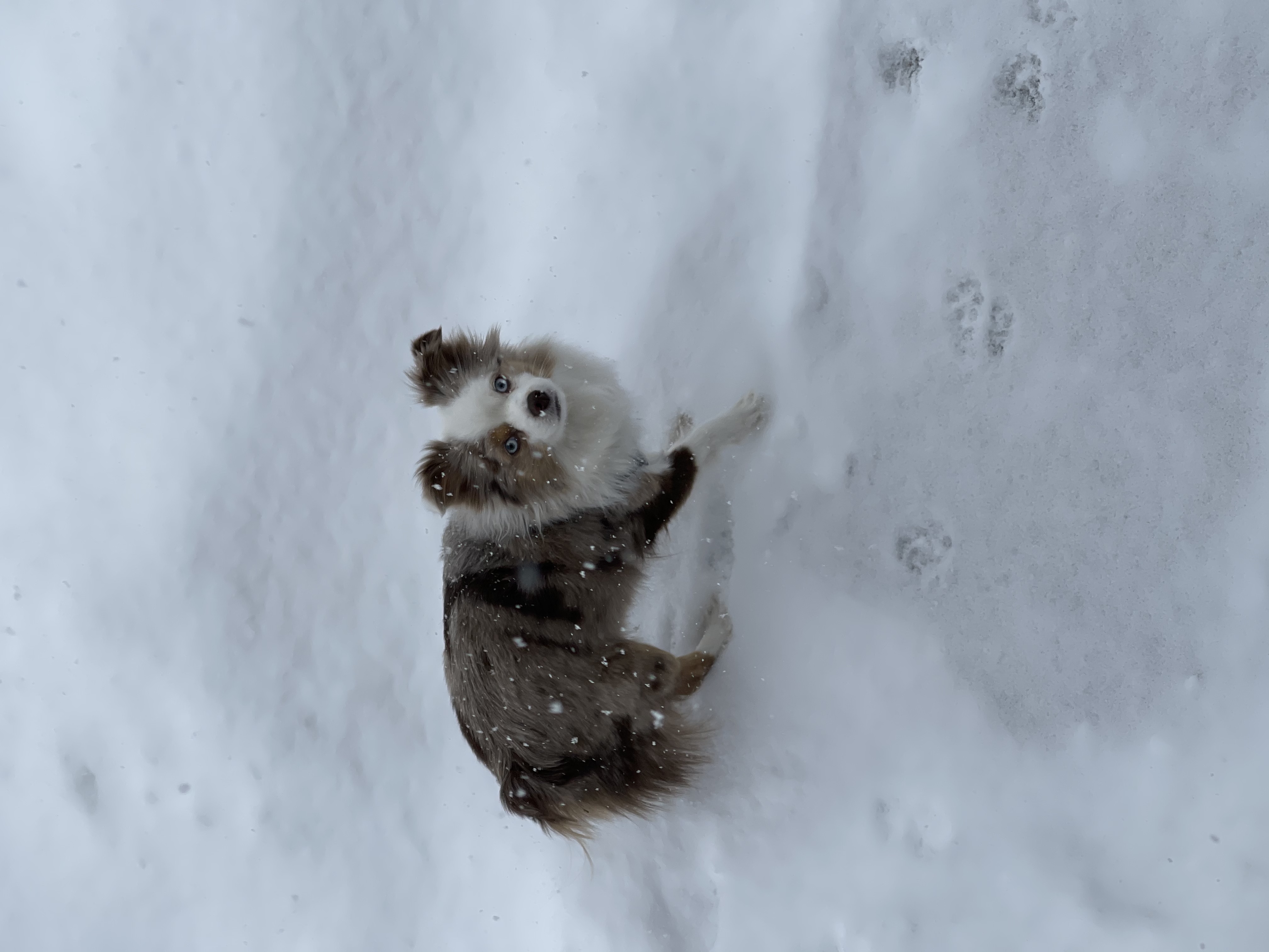 Eyewitness News viewers photos from the Feb. 18, 2021 snow storm
