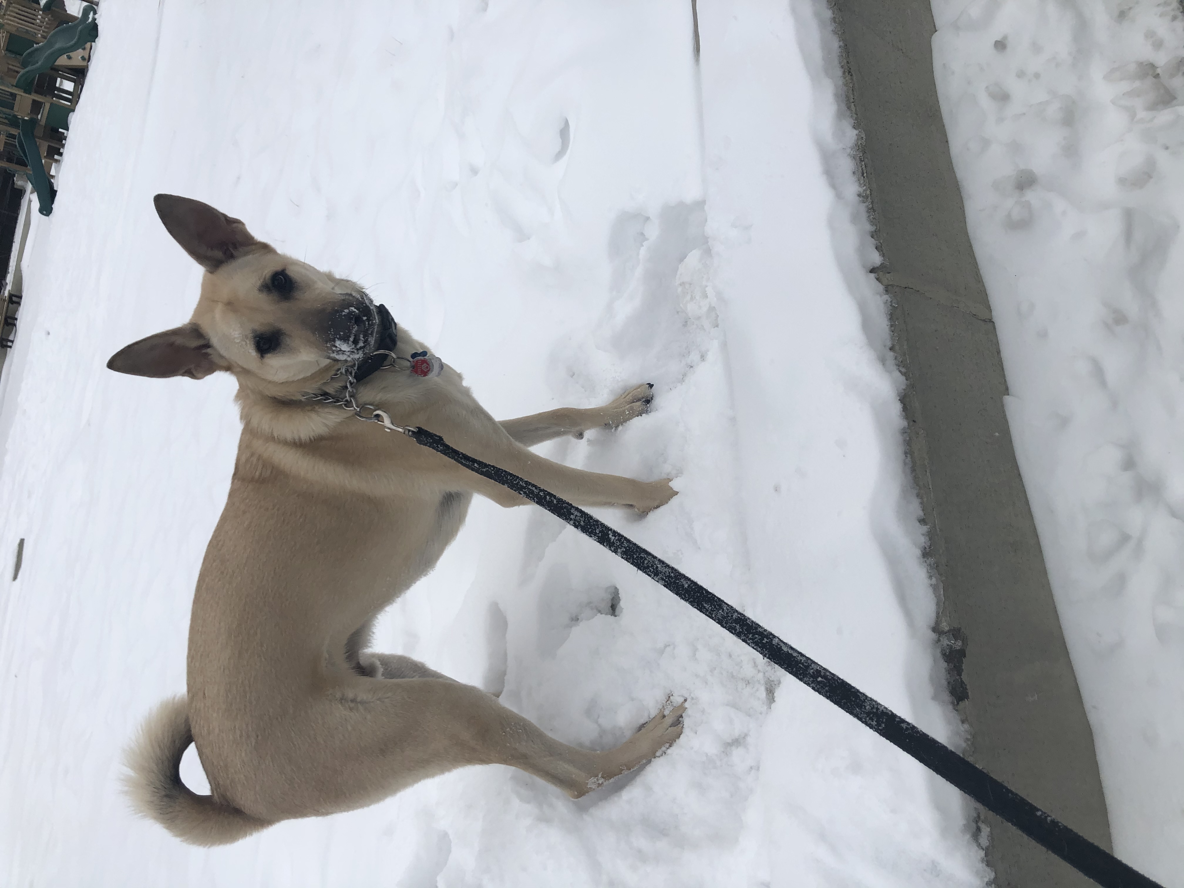 Eyewitness News viewers photos from the Feb. 18, 2021 snow storm