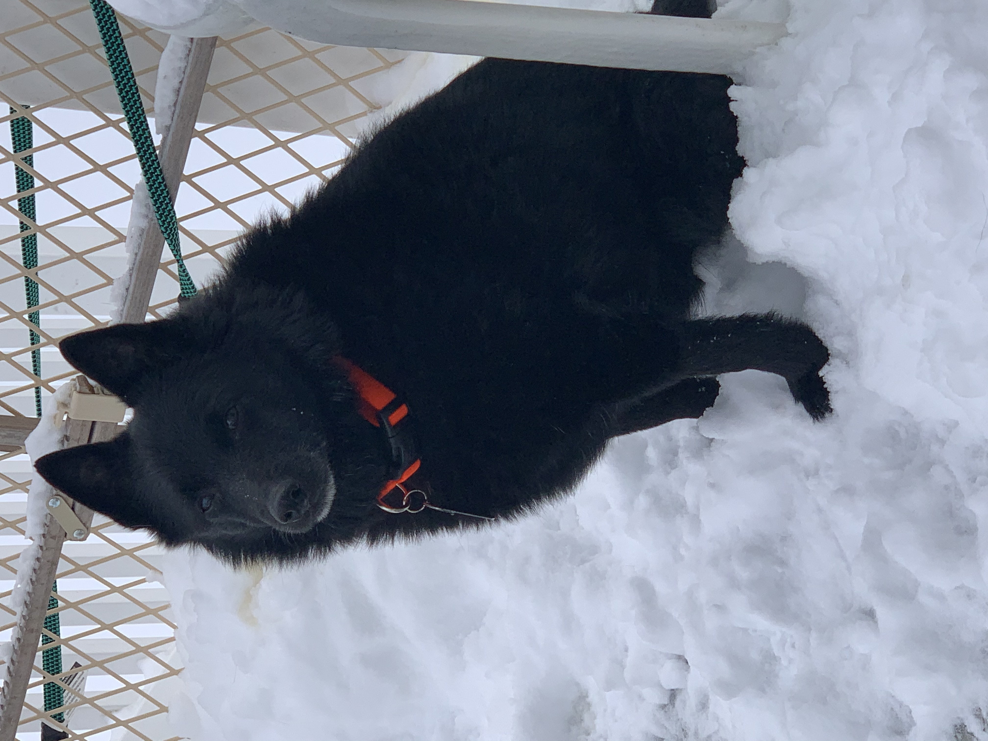 Eyewitness News viewers photos from the Feb. 18, 2021 snow storm
