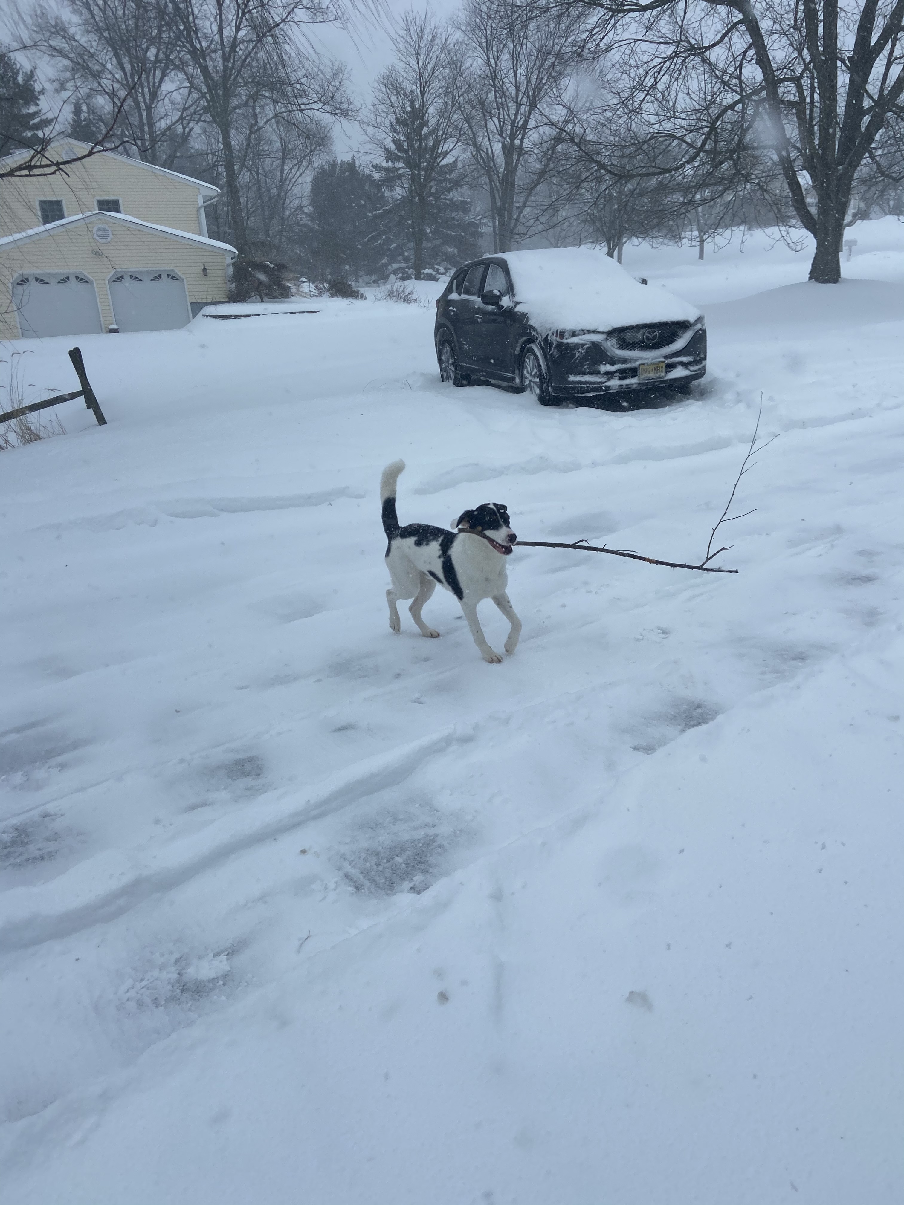 Eyewitness News viewers photos from the Feb. 18, 2021 snow storm