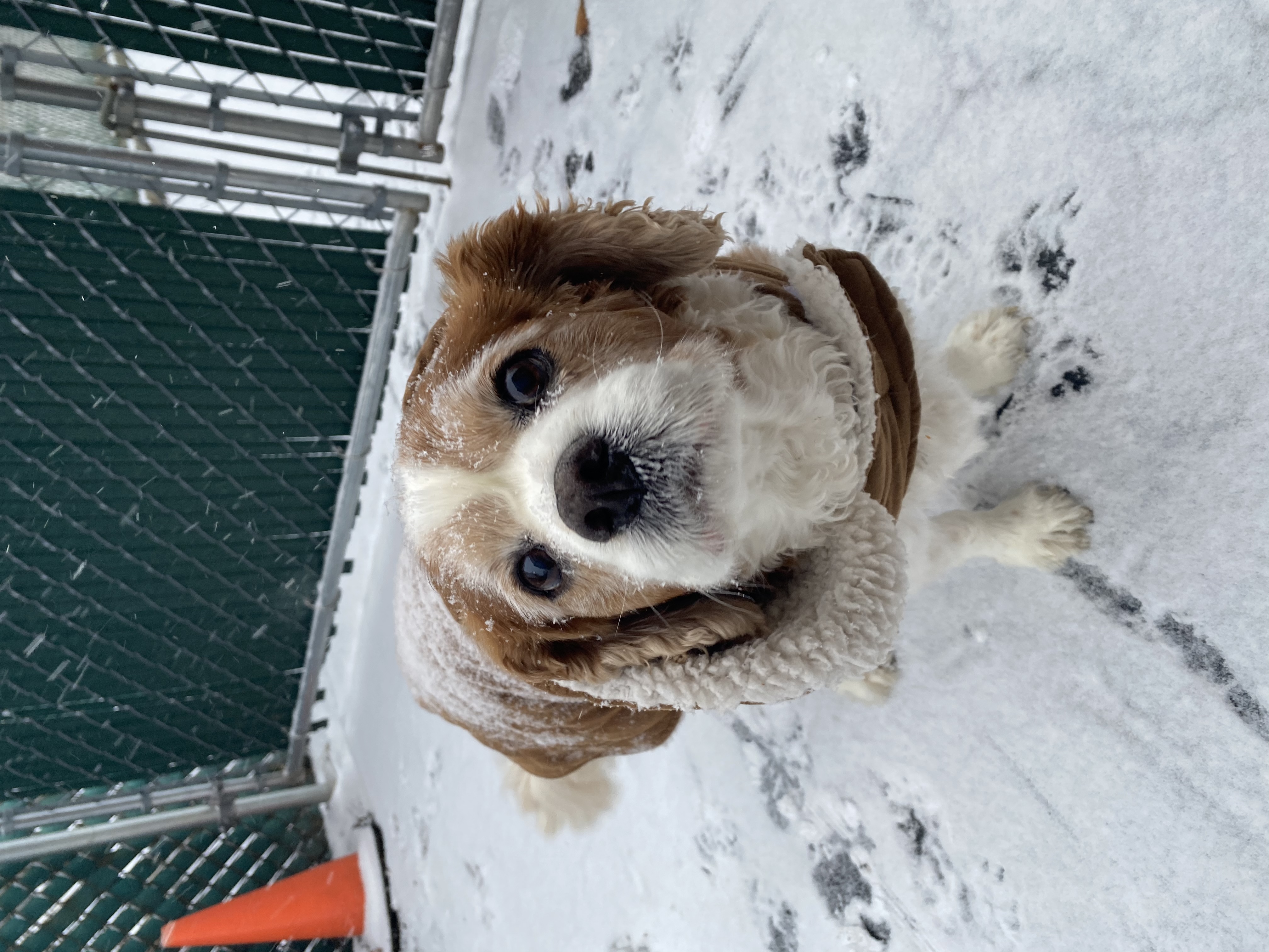 Eyewitness News viewers photos from the Feb. 18, 2021 snow storm