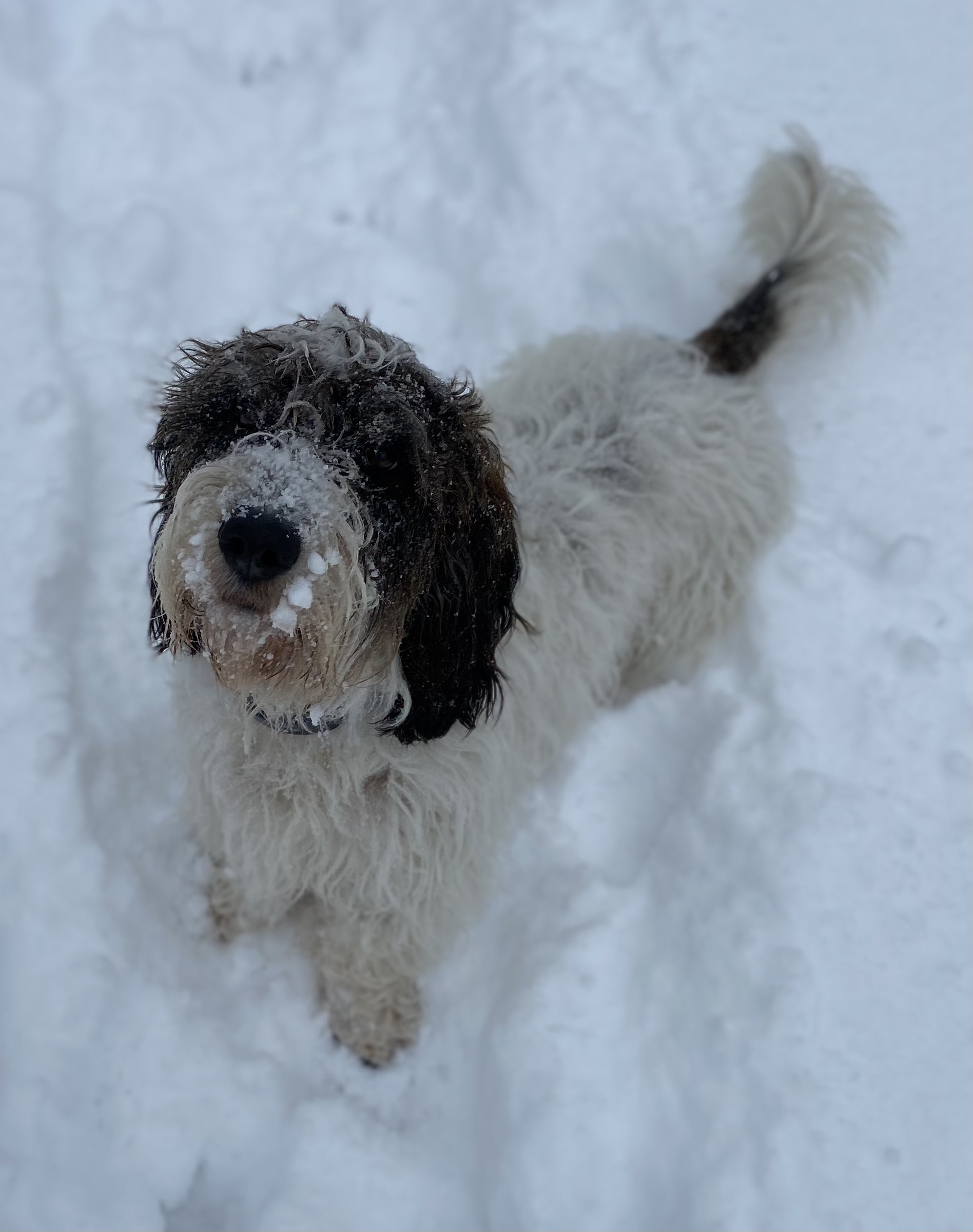 Eyewitness News viewers photos from the Feb. 18, 2021 snow storm