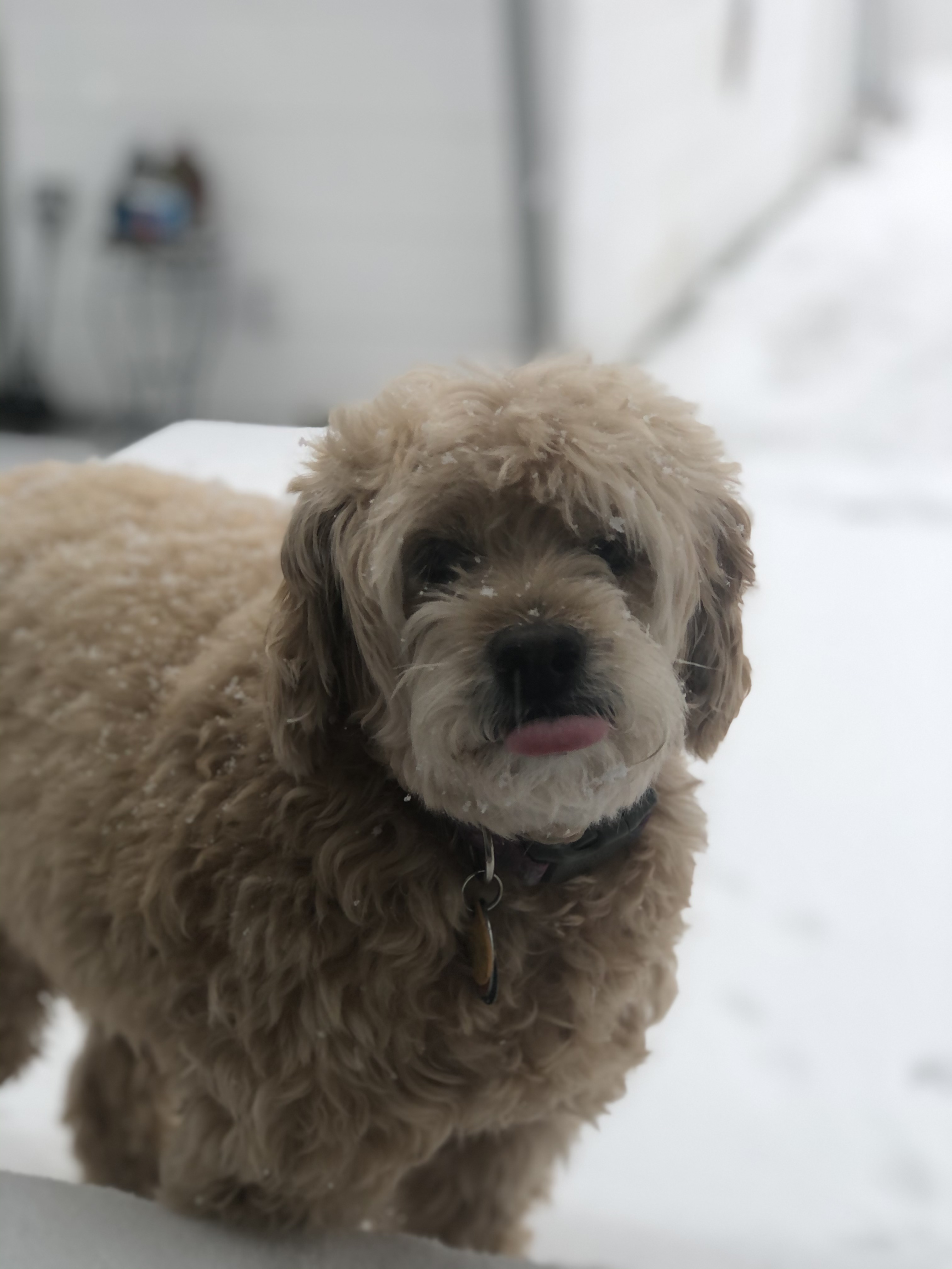 Eyewitness News viewers photos from the Feb. 18, 2021 snow storm