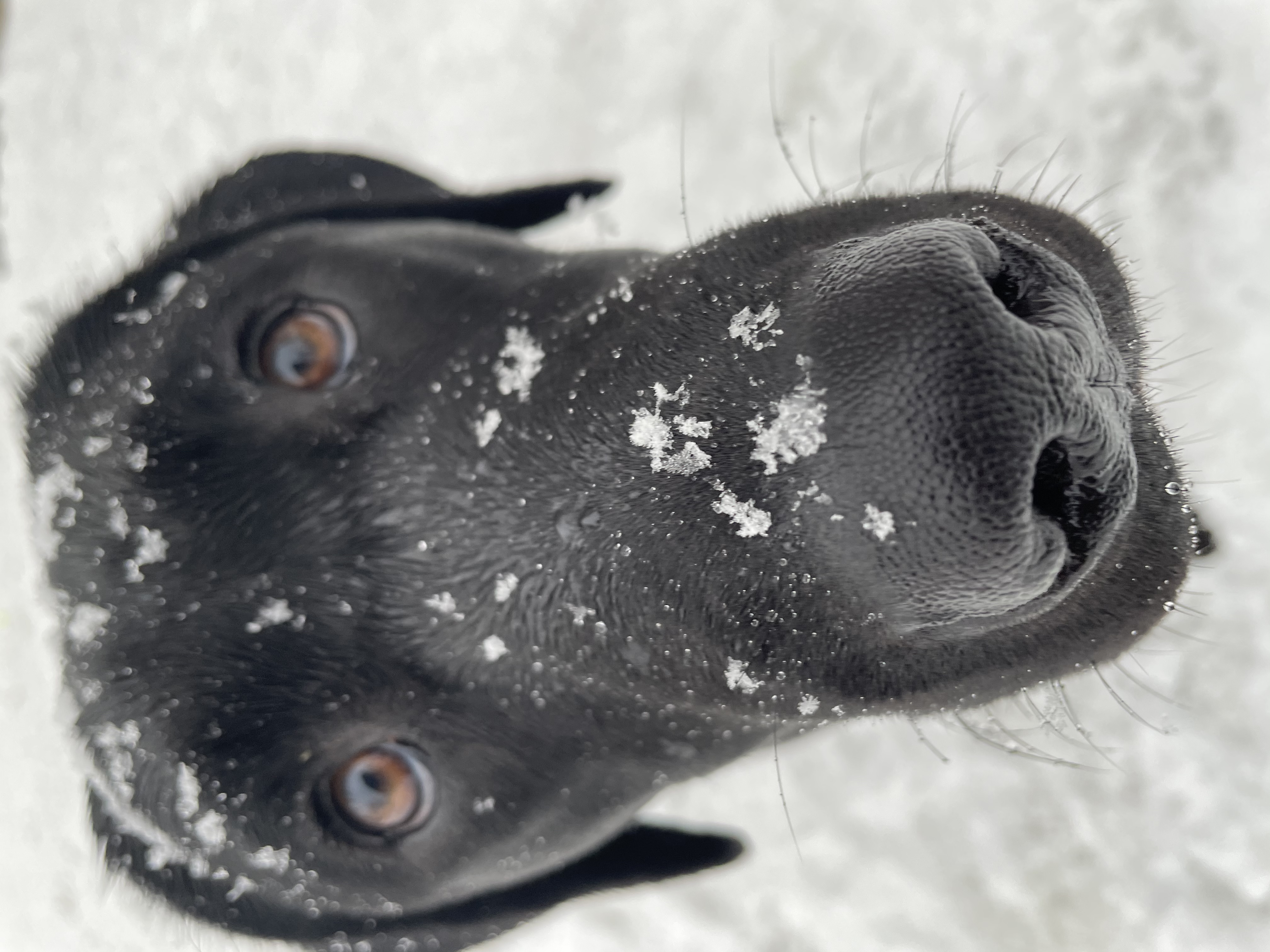 Eyewitness News viewers photos from the Feb. 18, 2021 snow storm