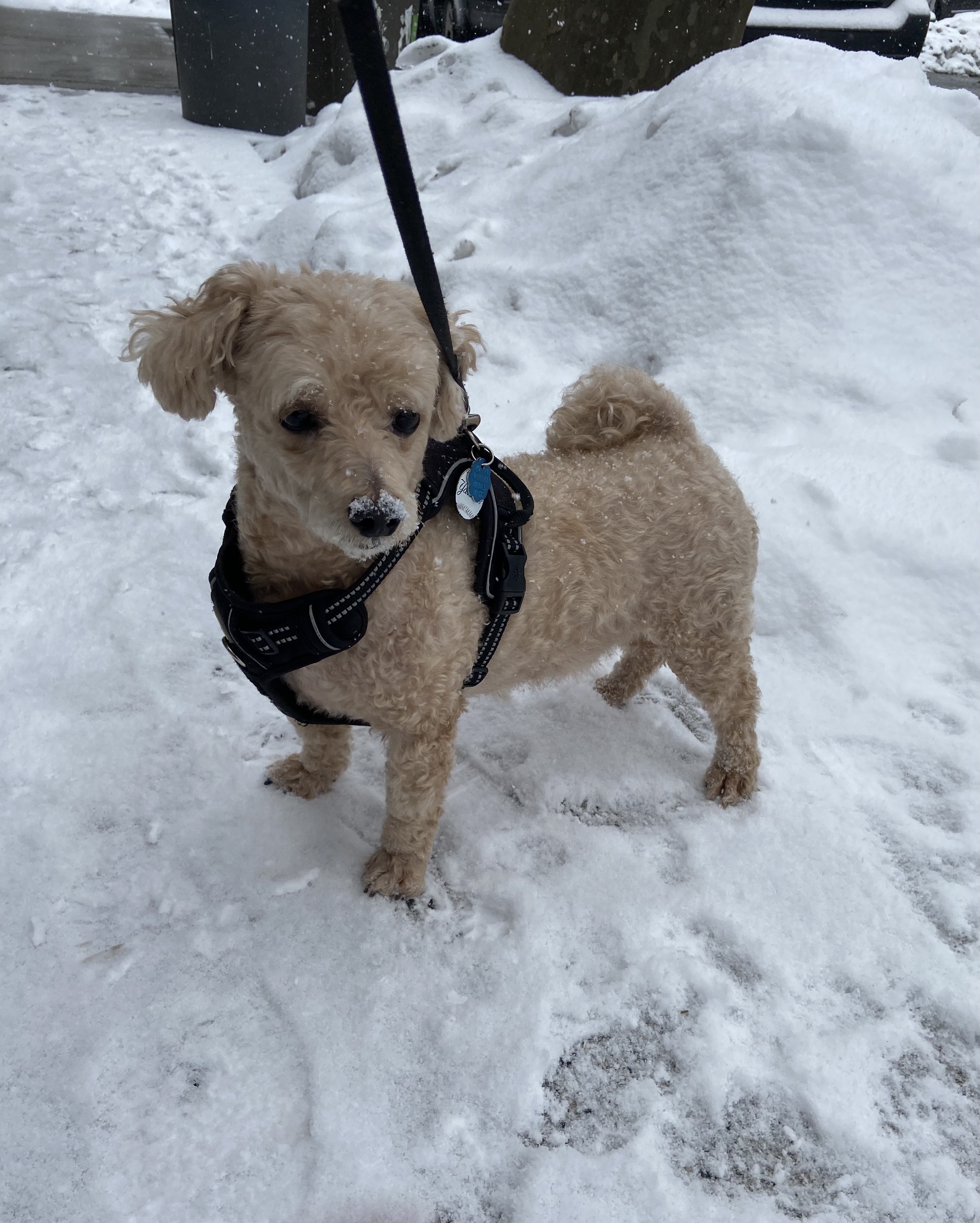 Eyewitness News viewers photos from the Feb. 18, 2021 snow storm