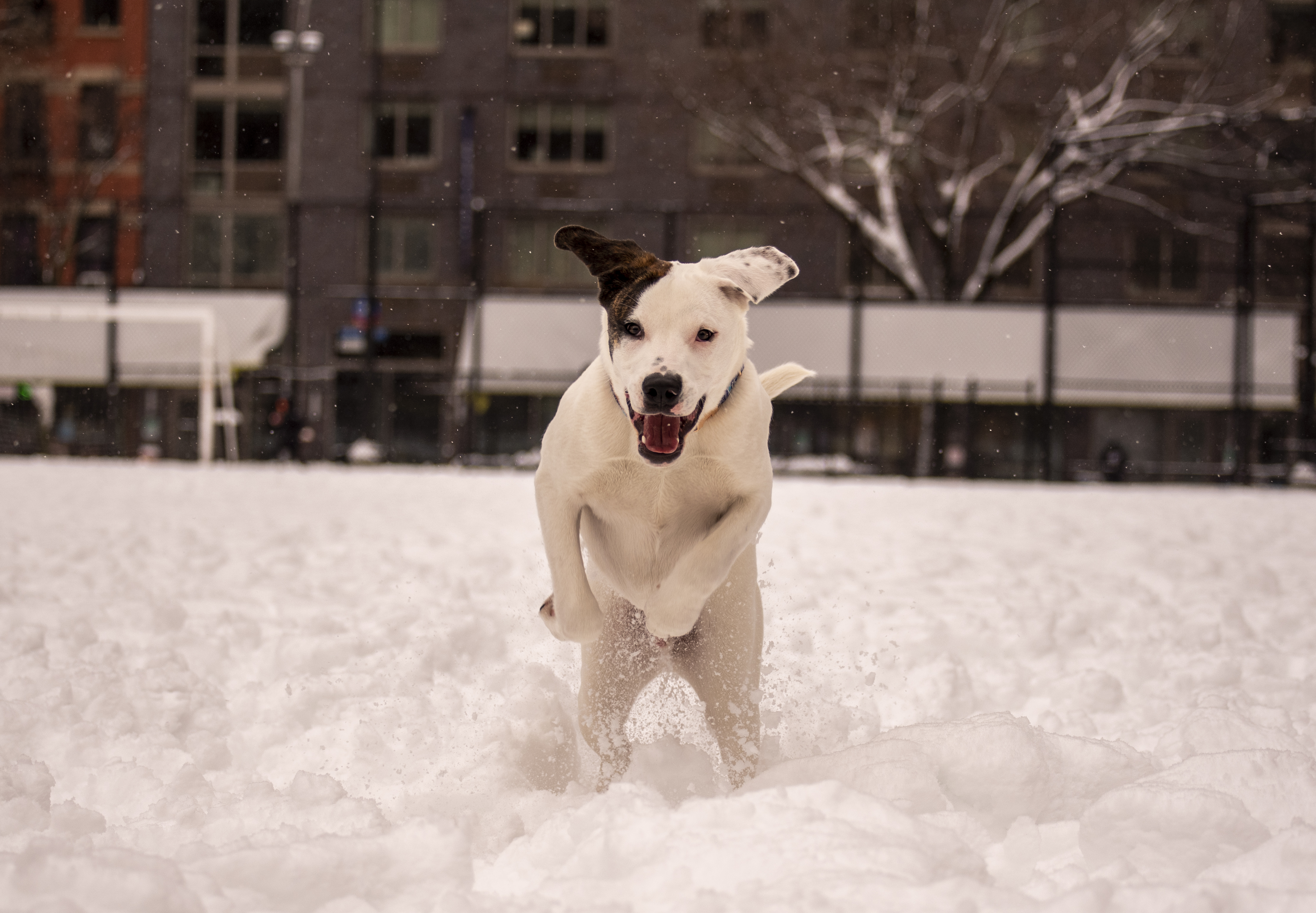 Eyewitness News viewers photos from the Feb. 18, 2021 snow storm