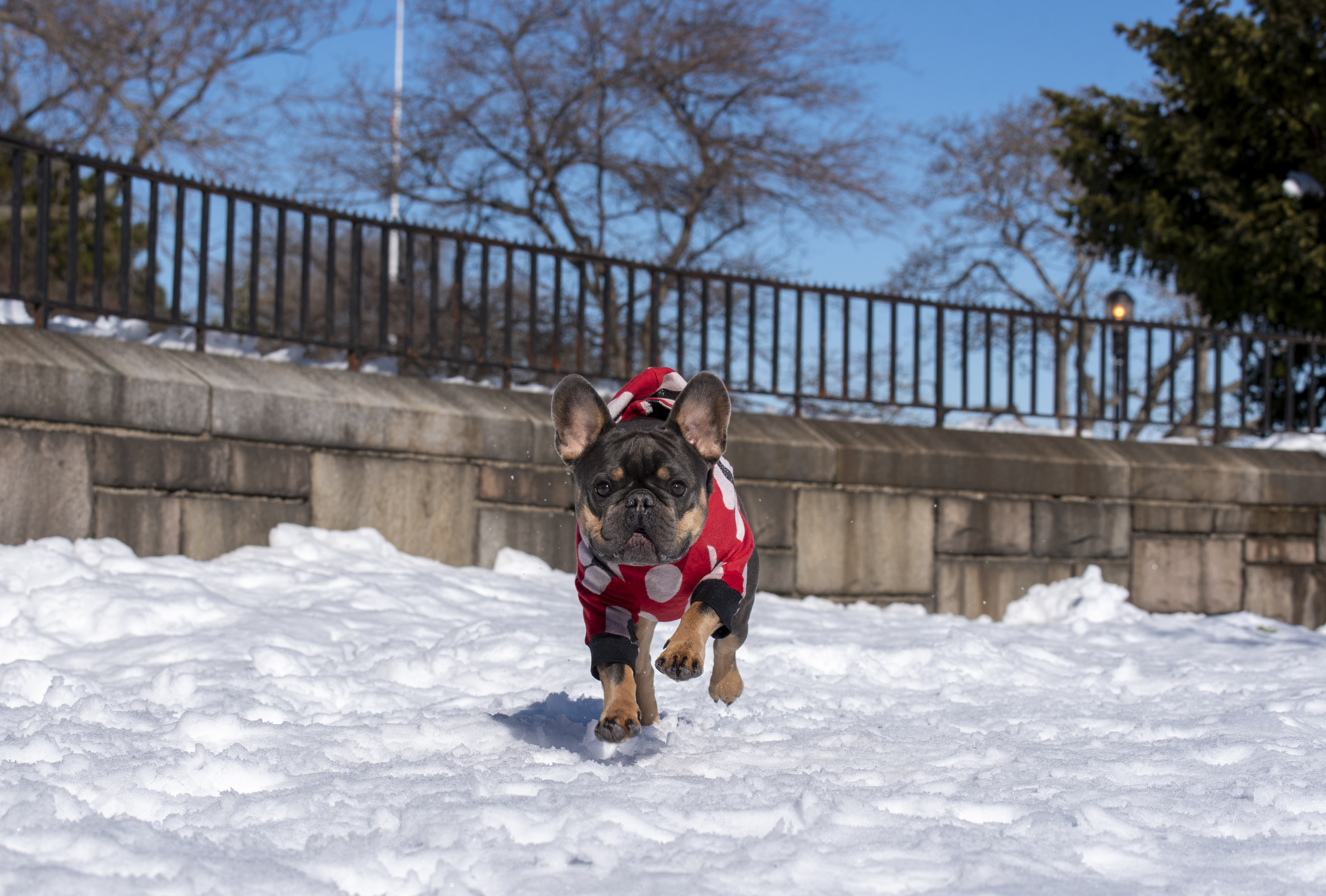 Eyewitness News viewers photos from the Feb. 18, 2021 snow storm