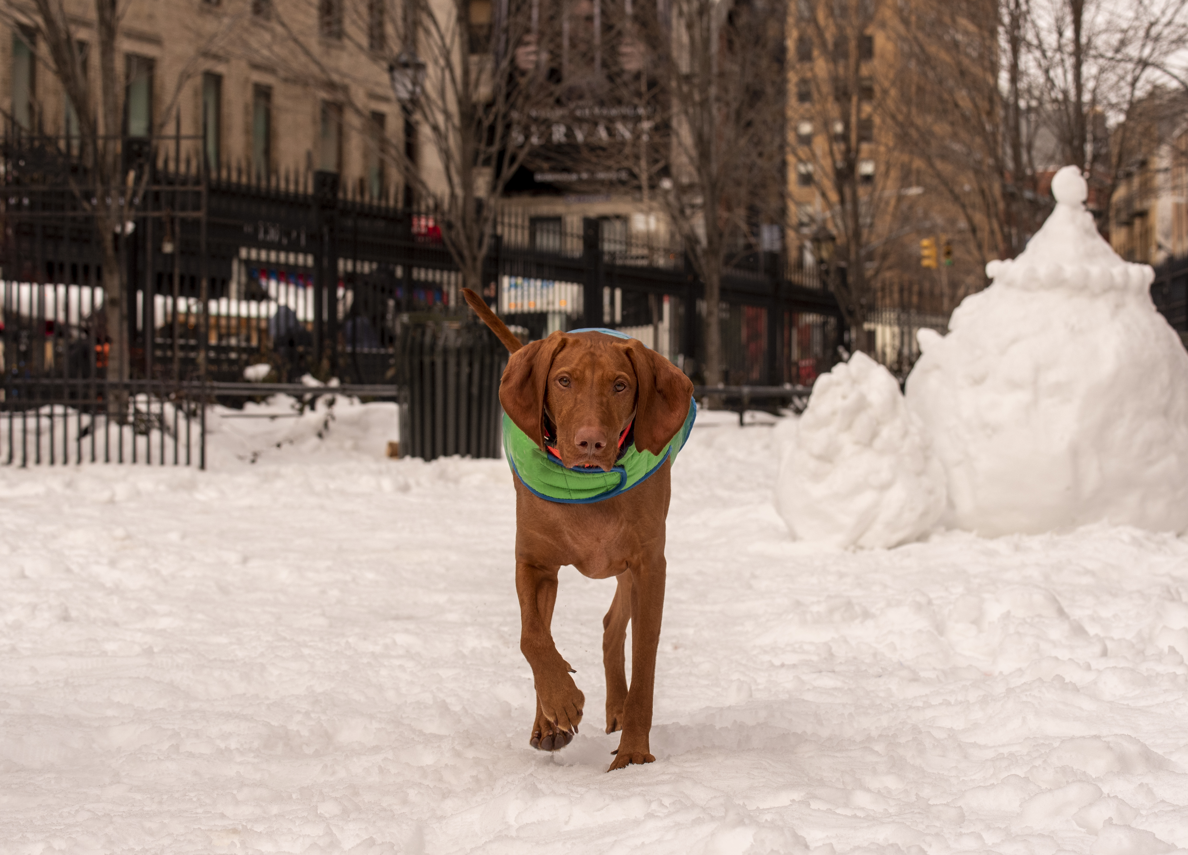 Eyewitness News viewers photos from the Feb. 18, 2021 snow storm