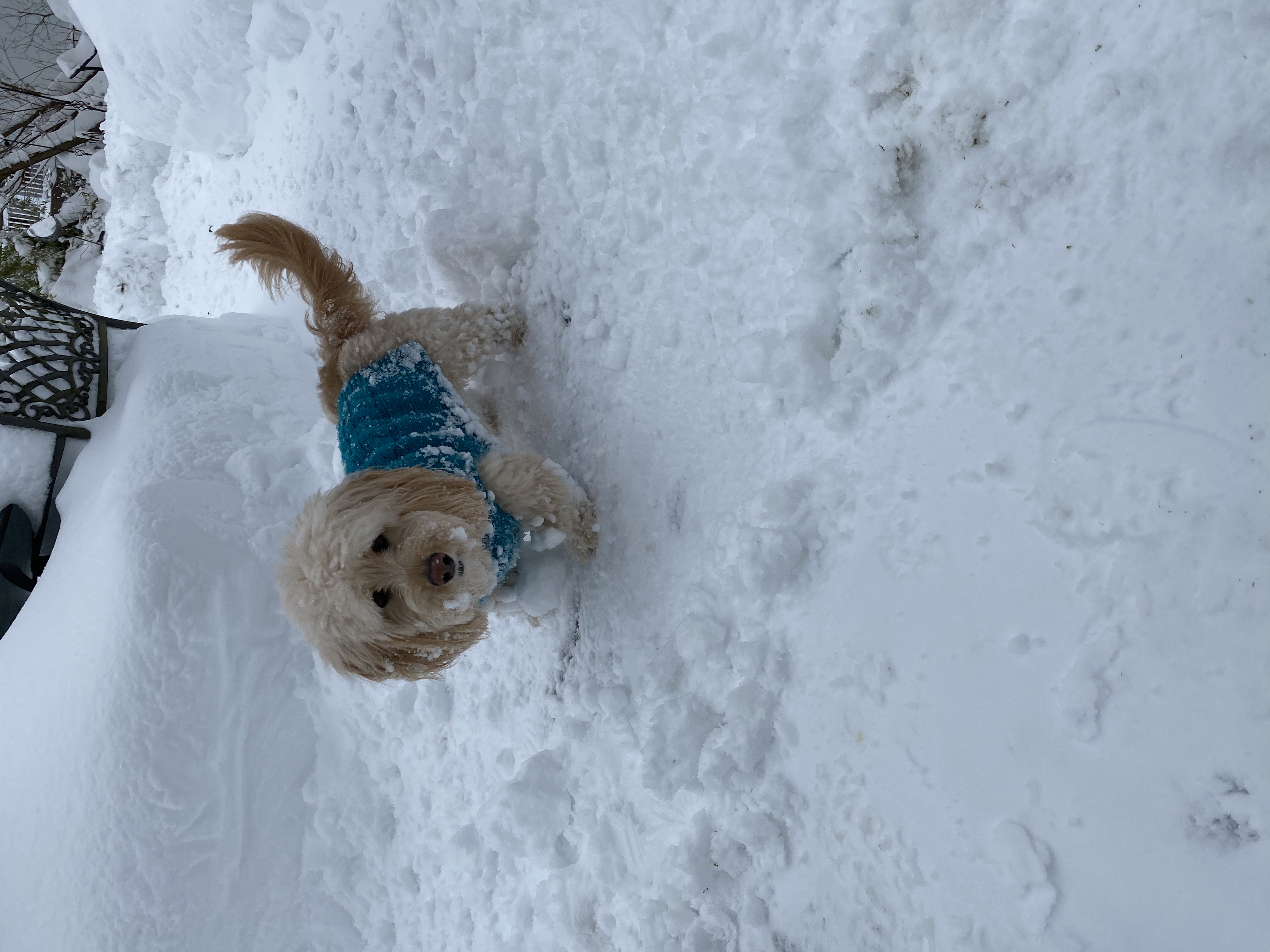 Eyewitness News viewers photos from the Feb. 18, 2021 snow storm