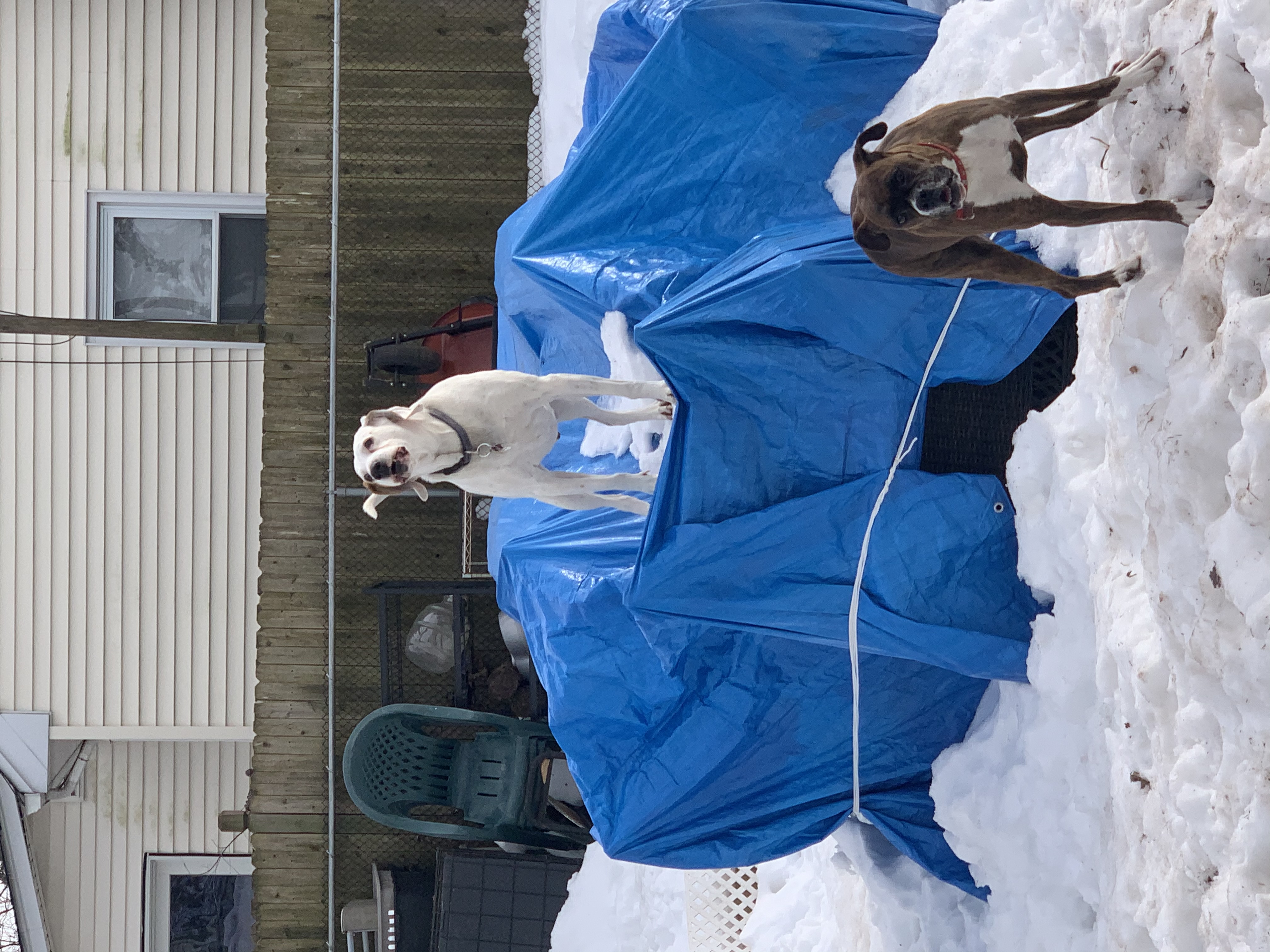 Eyewitness News viewers photos from the Feb. 18, 2021 snow storm