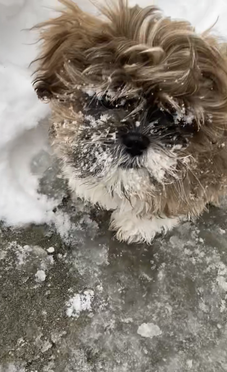 Eyewitness News viewers photos from the Feb. 18, 2021 snow storm