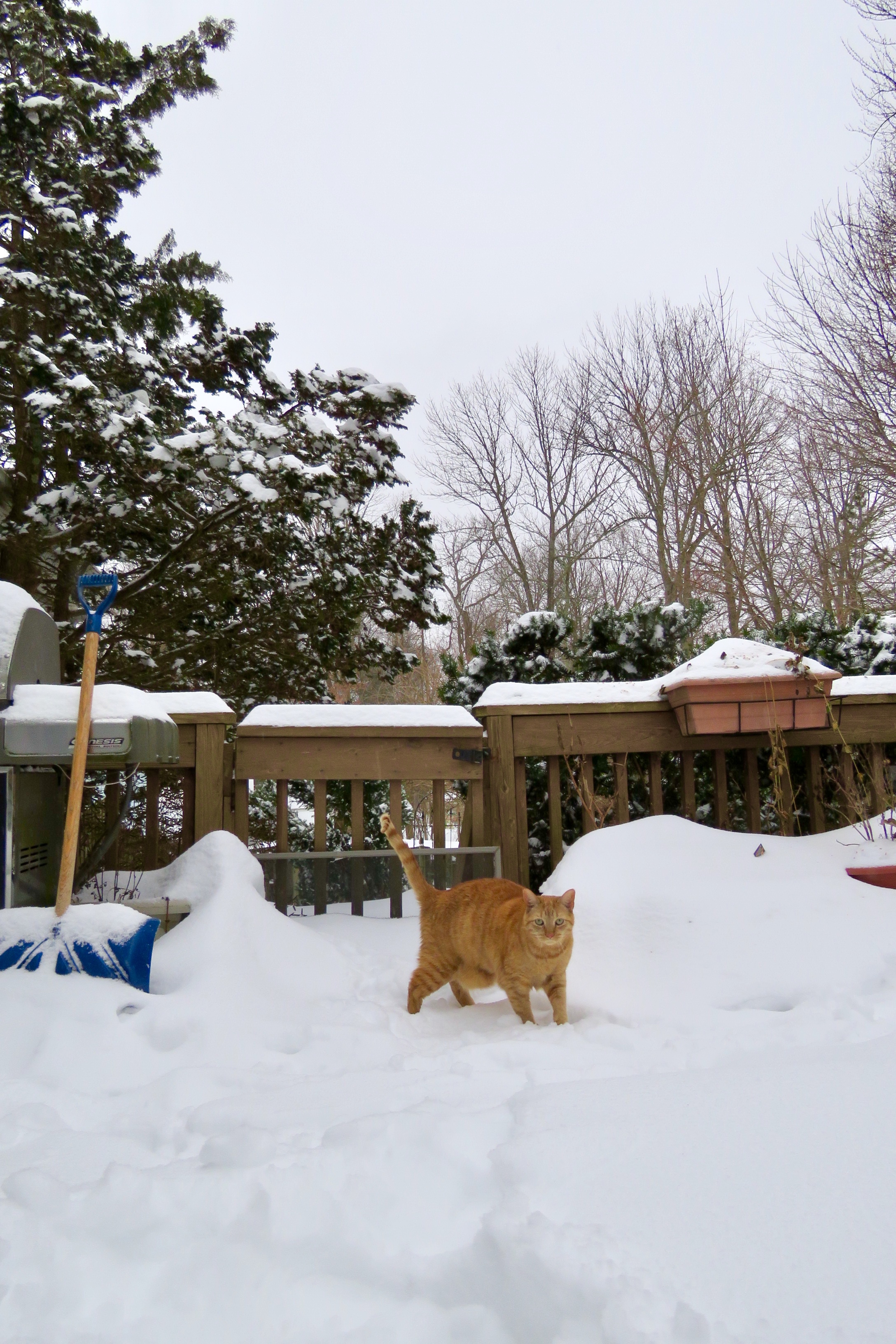 Eyewitness News viewers photos from the Feb. 18, 2021 snow storm