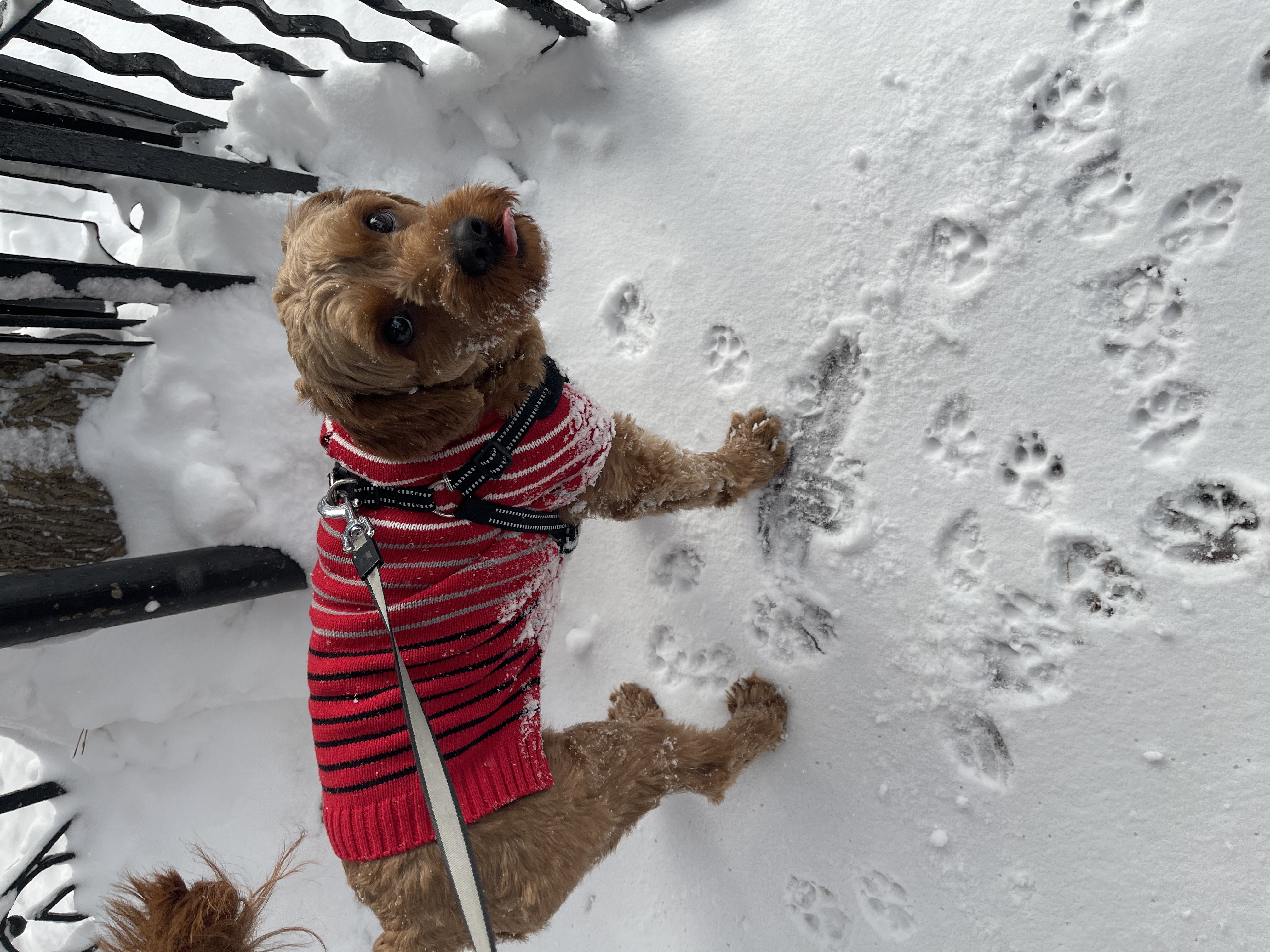 Eyewitness News viewers photos from the Feb. 18, 2021 snow storm