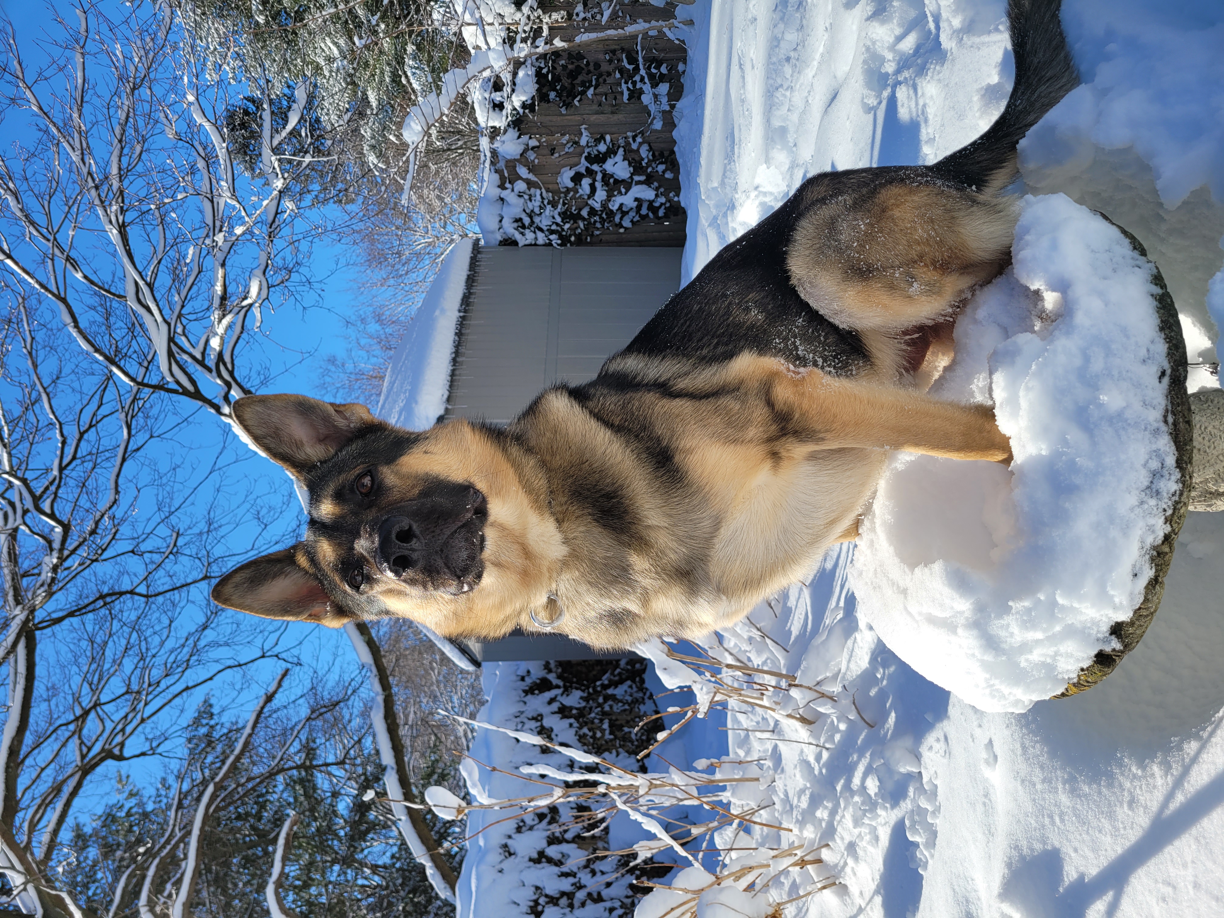 Eyewitness News viewers photos from the Feb. 18, 2021 snow storm