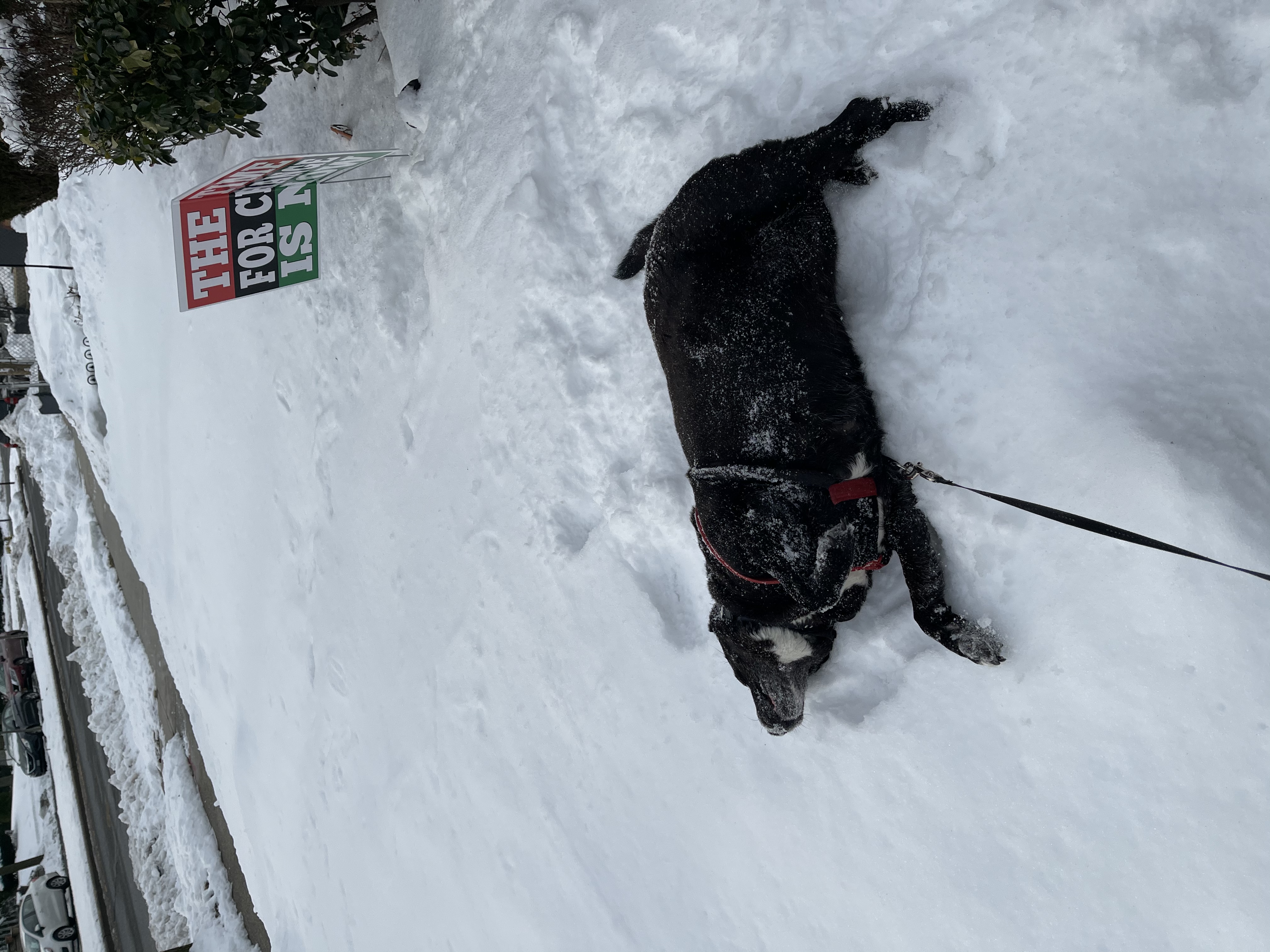 Eyewitness News viewer photos from the Feb. 18, 2021 snow storm.