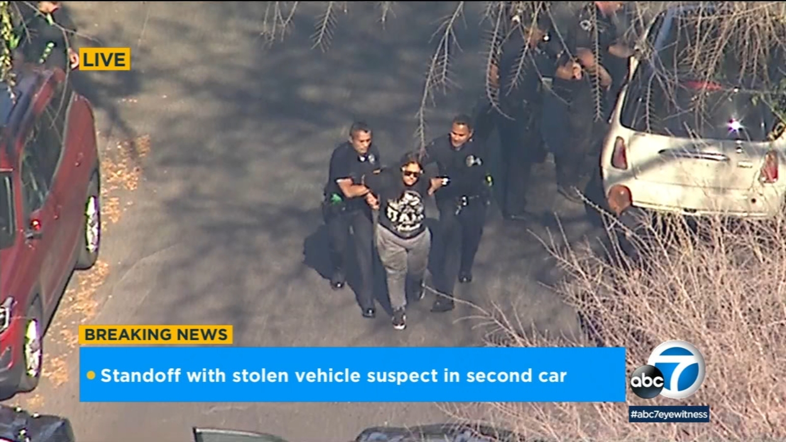 Police chase: Driver of stolen cargo van arrested after leading ...