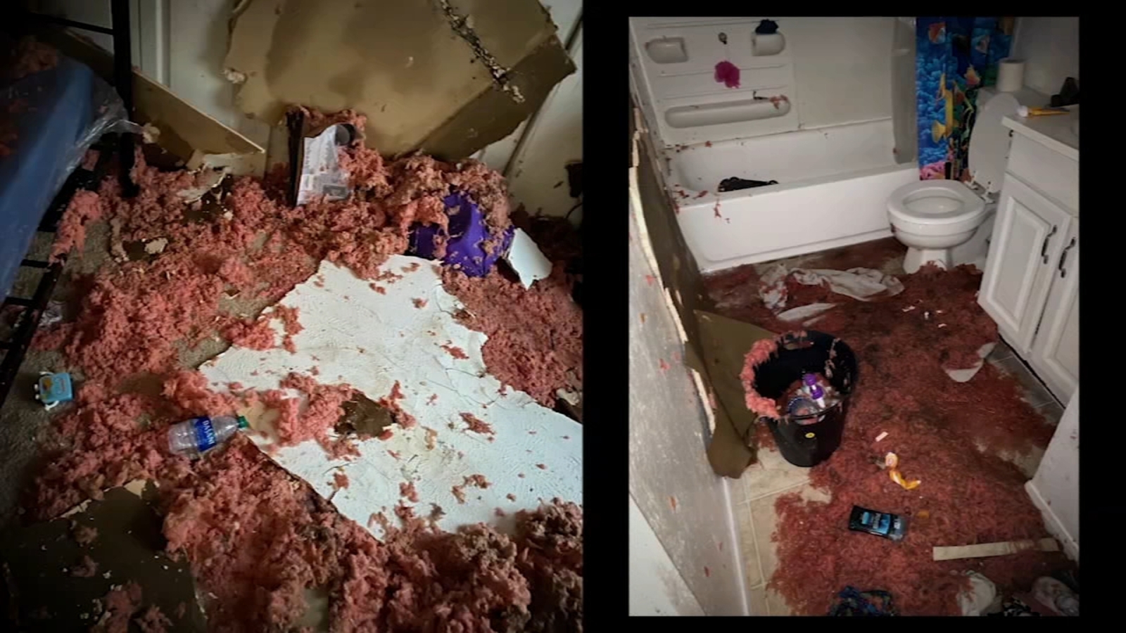 Houston mother of four spends savings for a hotel while home remains destroyed - Vimarsana News