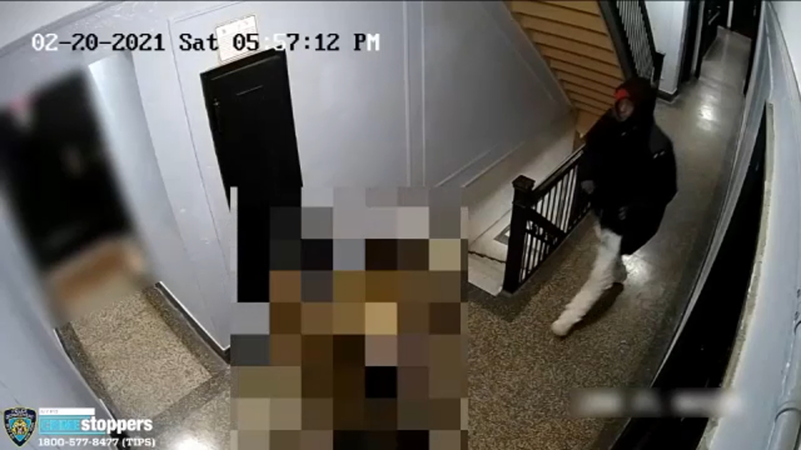 Police search for man wanted in 2 attempted rapes in the Bronx - Vimarsana News