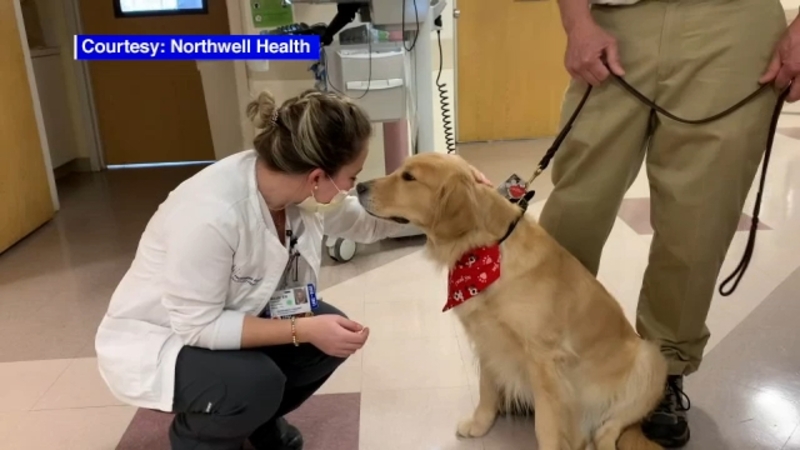 Hazel The Therapy Dog Makes Return At Huntington Hospital On Long Island Abc7 New York