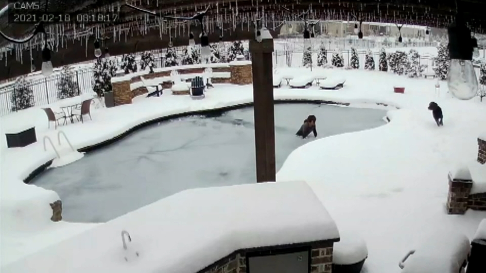 Tennessee woman jumps into frozen swimming pool to rescue dog