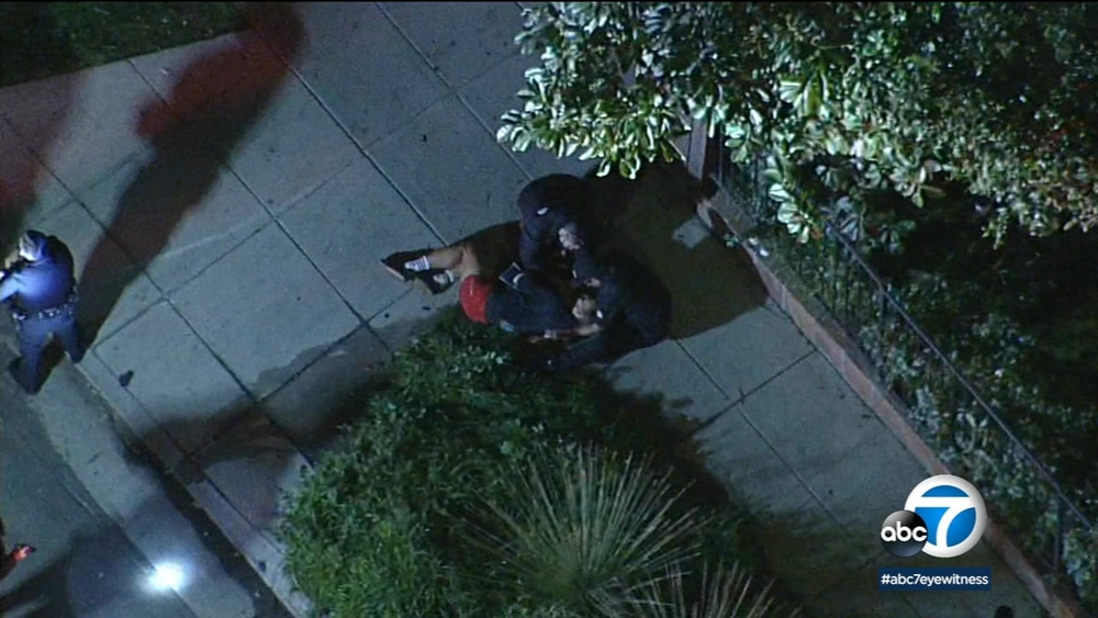 Hollywood shooting: Man wounded, has 2 dogs stolen from him