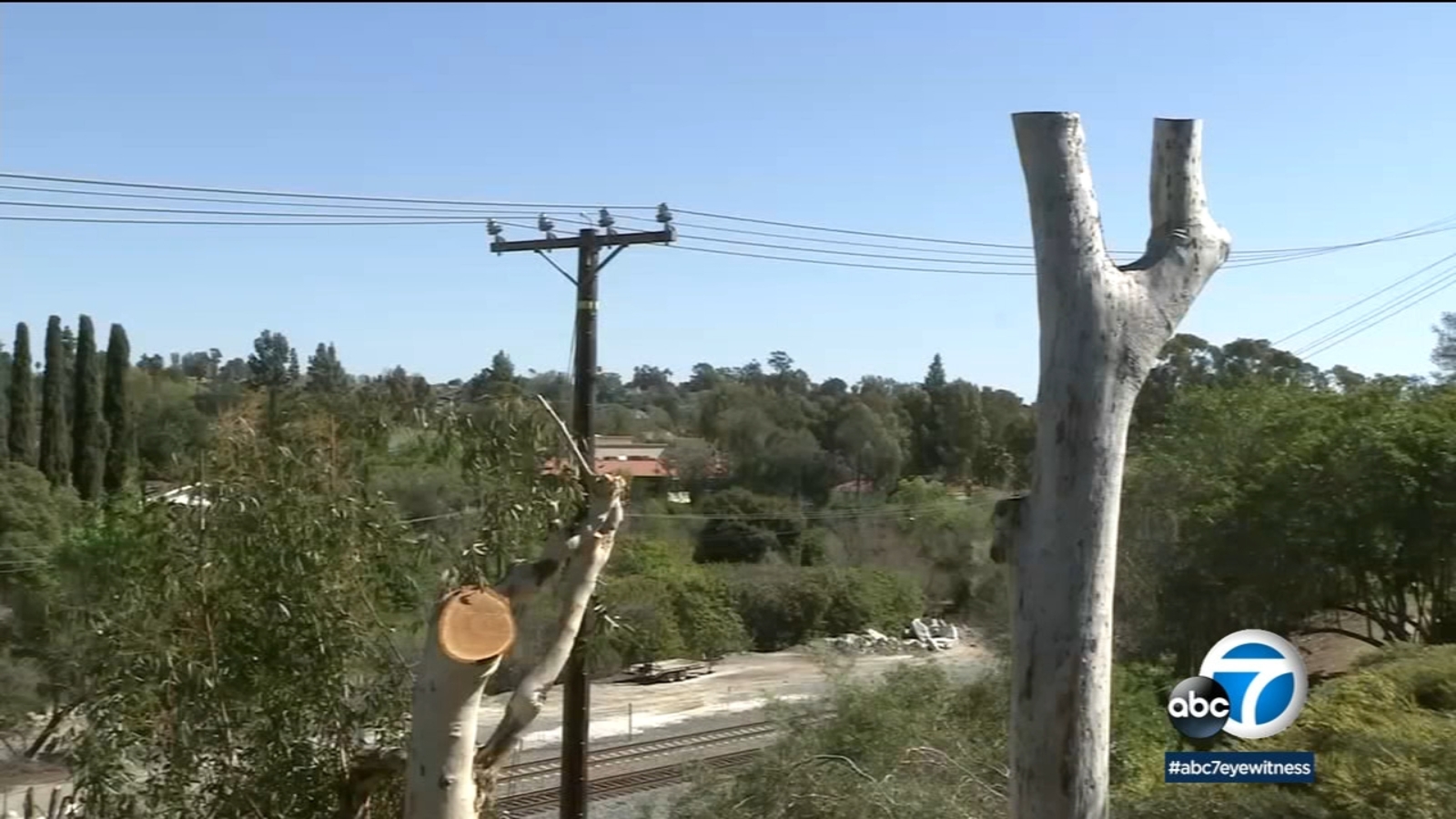 After SoCal Edison trims trees along power lines in Mission Viejo, residents call it excessive - Vimarsana News