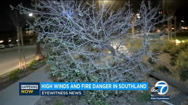 Wind warnings issued for much of SoCal as blustery conditions increase ...