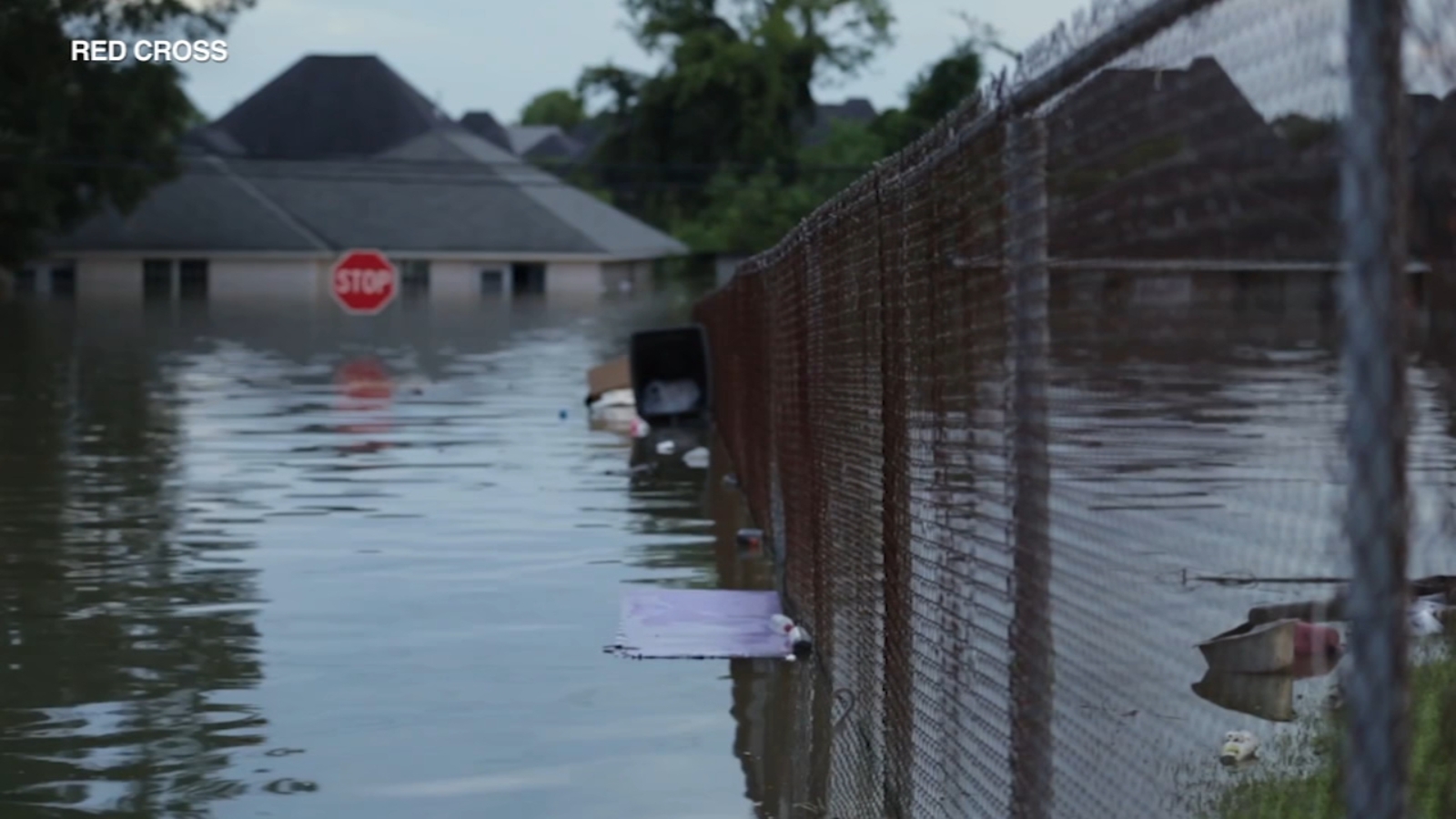 Flooding: How to prepare for life-threatening extreme flood events - Vimarsana News
