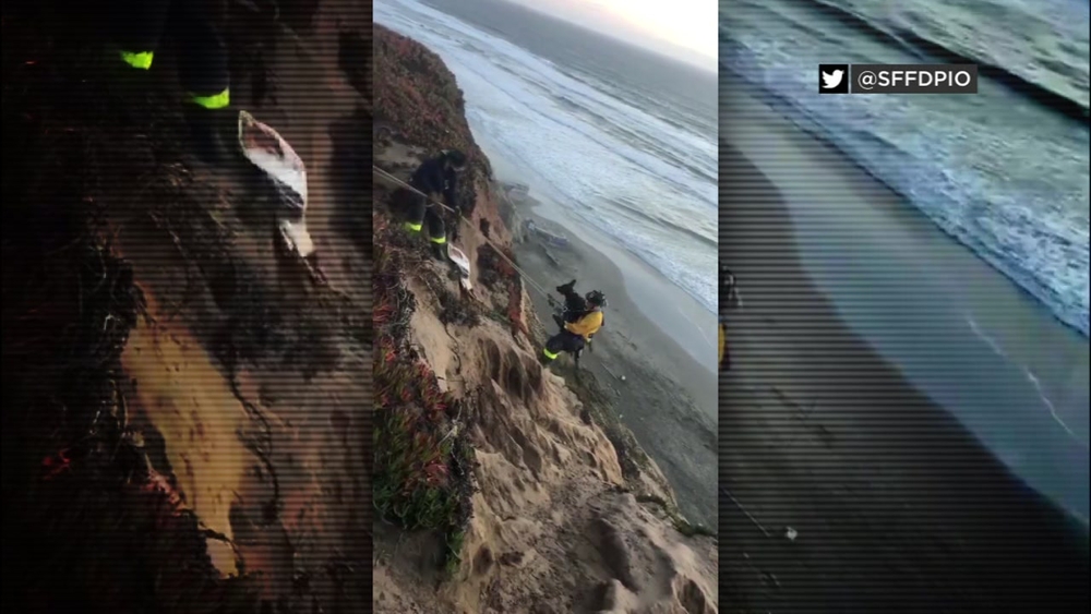 Video shows dog rescue at SF's Fort Funston