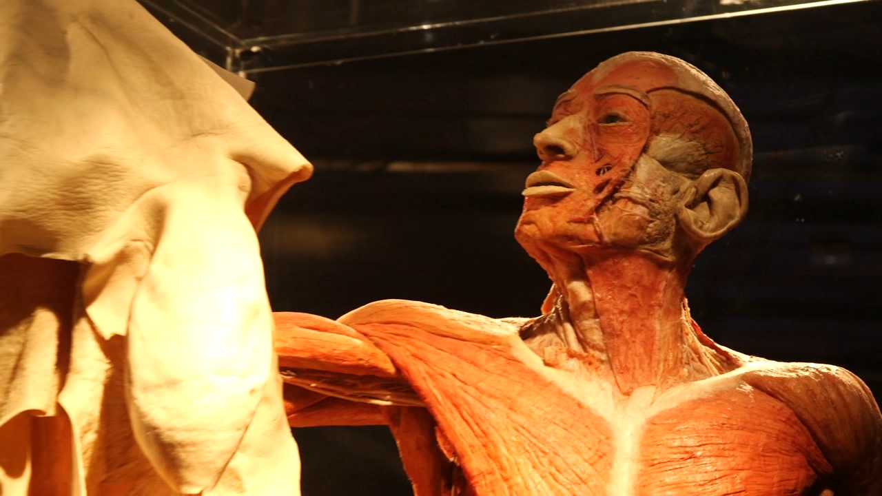 Learn about the awesome exhibits at the Houston Museum of Natural Science on Check This Out
