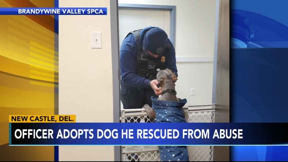 First responder adopts dog found severely abused