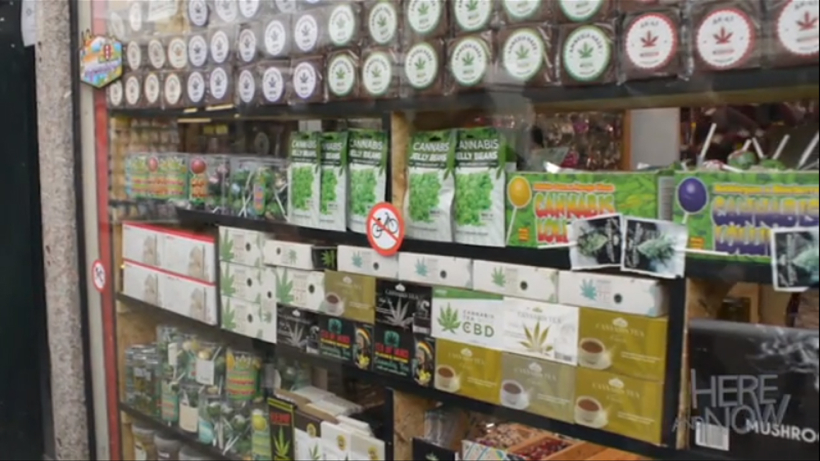 olivia thirlby dating