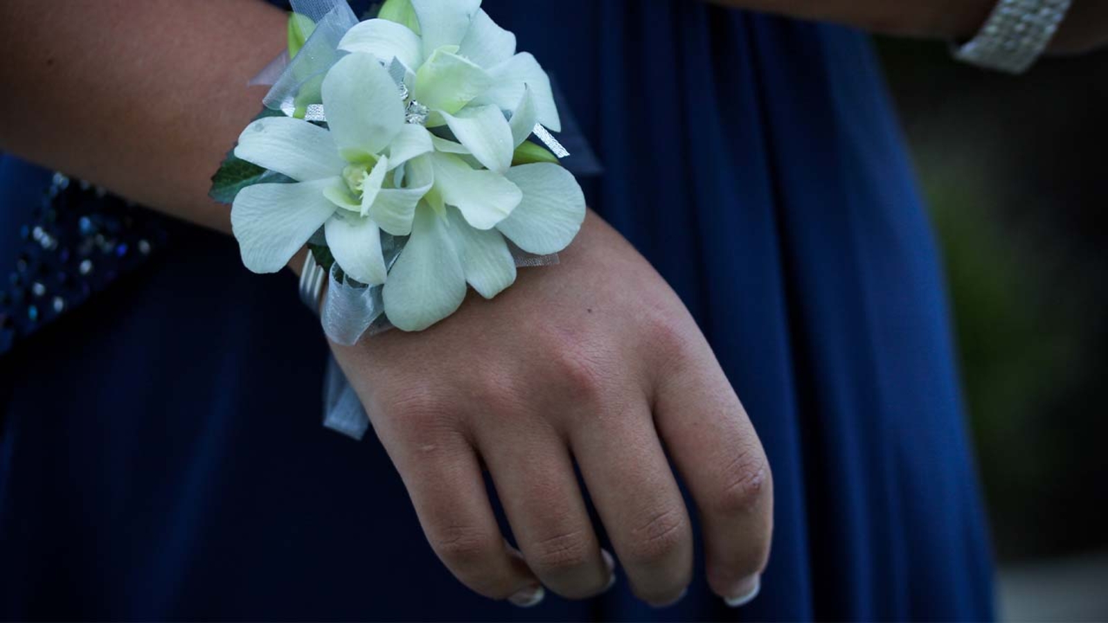 Florida mom and daughter accused of accessing student accounts to rig homecoming court vote - Vimarsana News